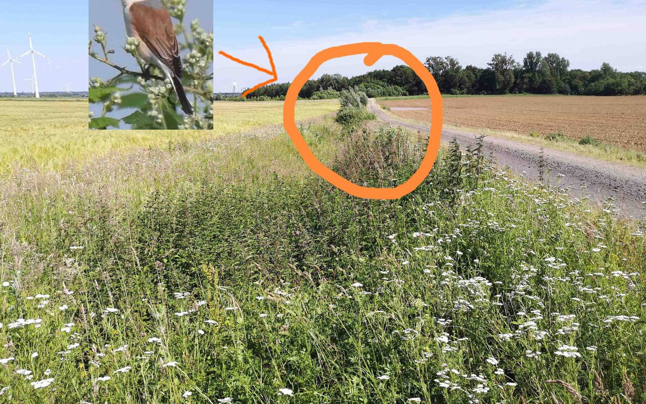 So der Graben vorher aus. Inzwischen