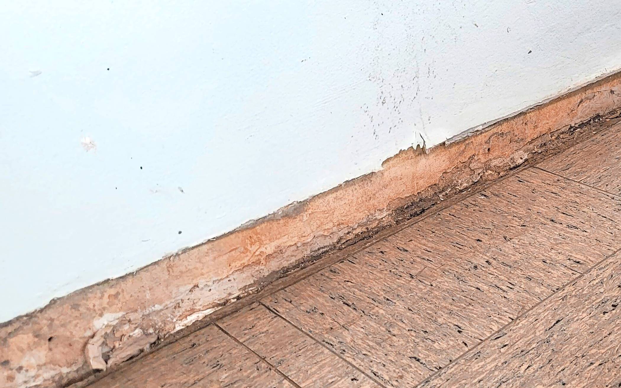  Die Fußleisten sind ebenfalls verletzungsgefährlich angefressen. 