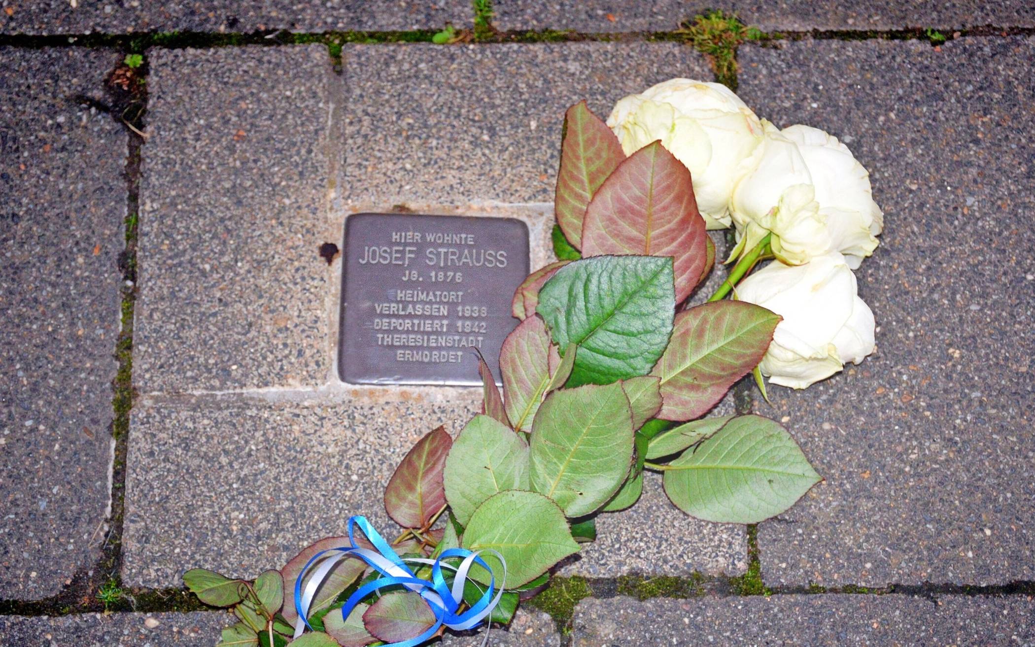  Stolperstein Rommerskirchen 