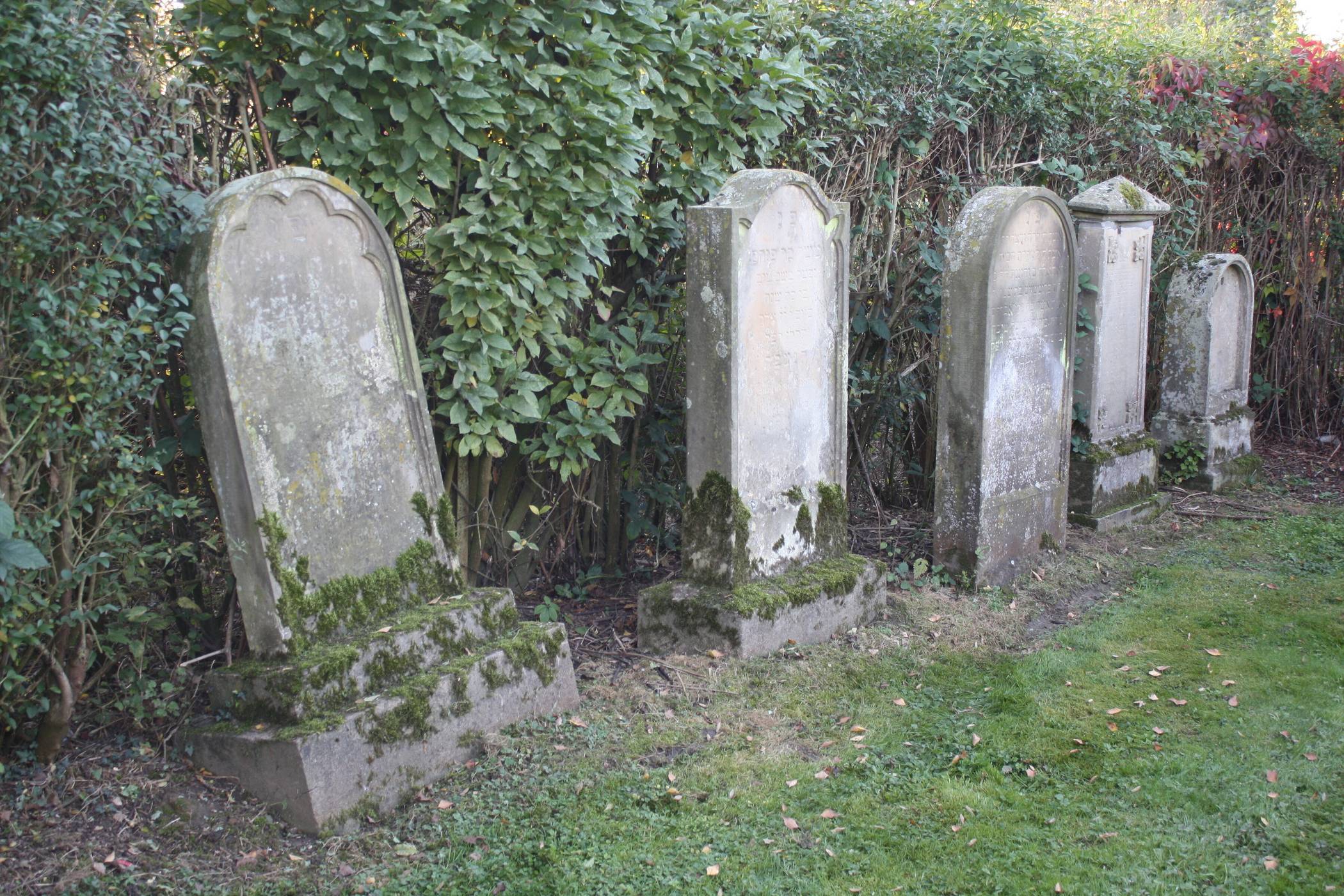  Hier sind bedächtige Besucher willkommen.  