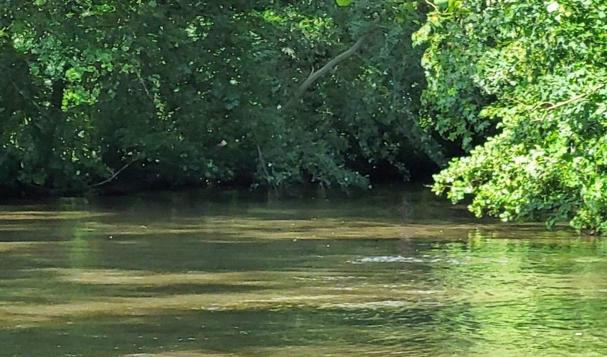 Während Politiker schweigen, verhandelt das Land bereits!