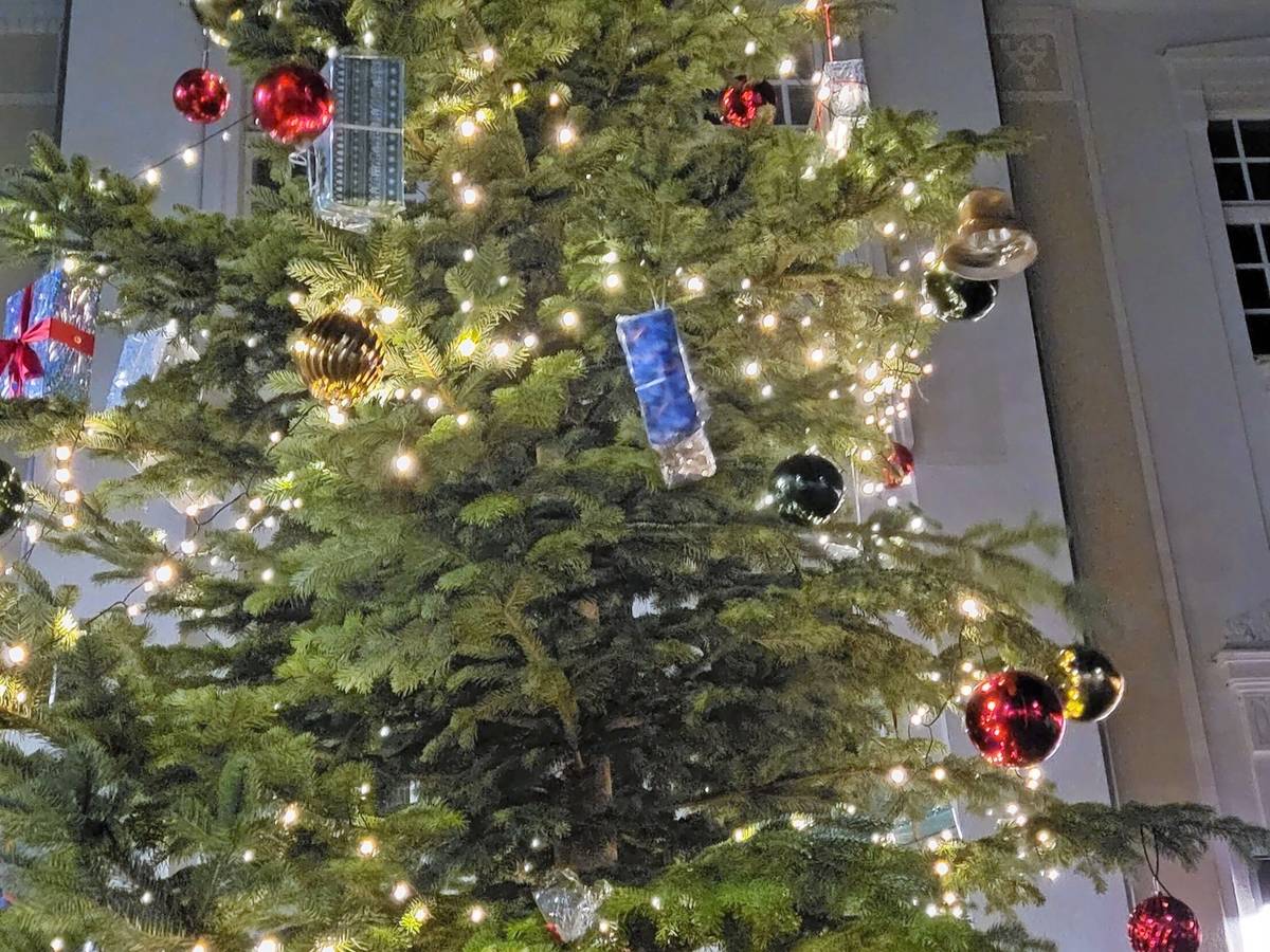 Edelknaben schmücken den Baum vorm „Alten Rathaus“