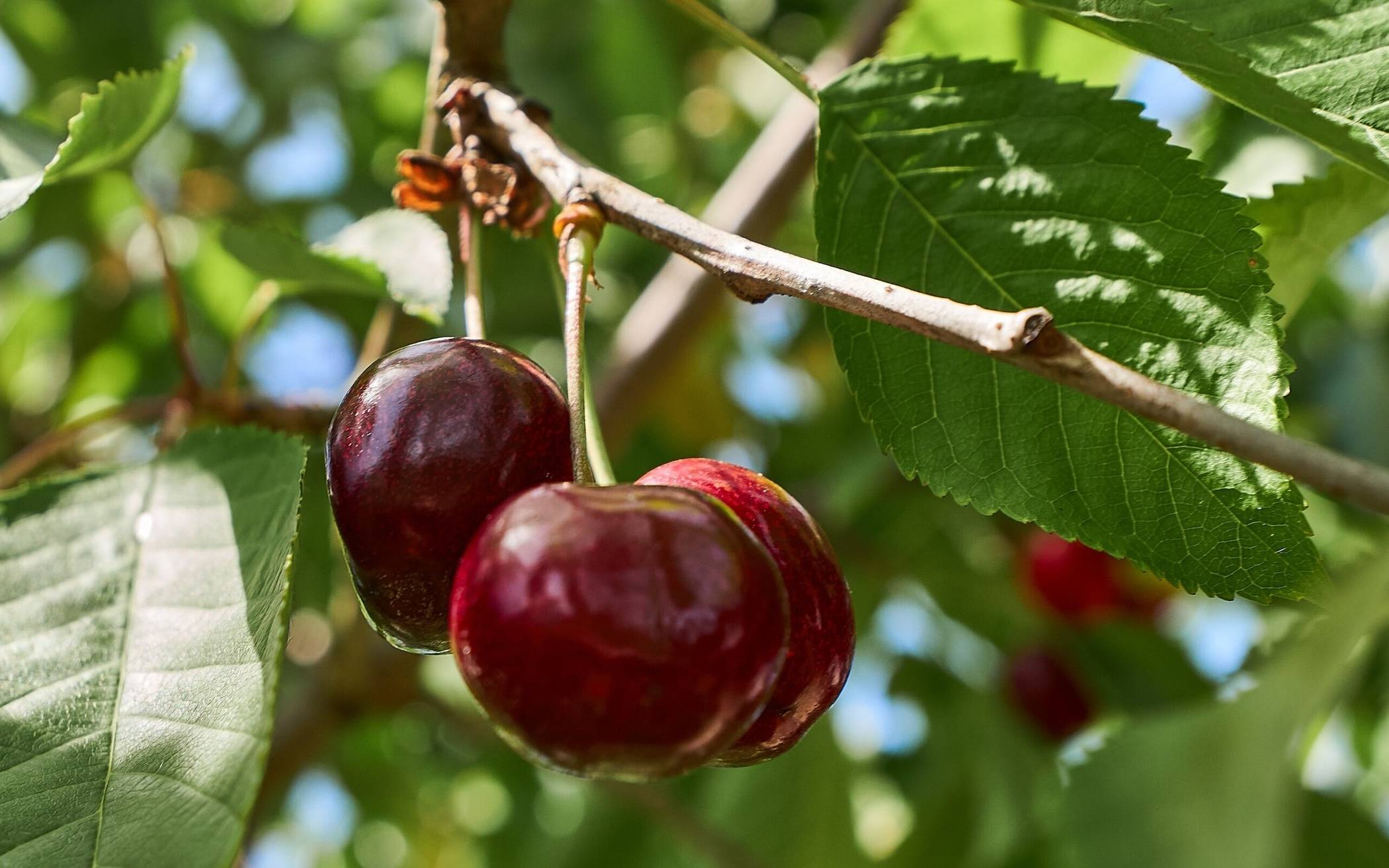 Ein notwendiger Schritt mit Blick nach vorn