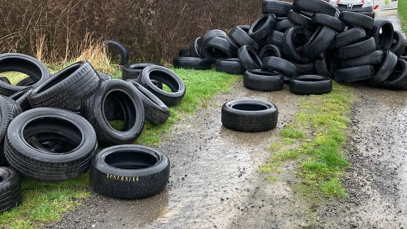 Unter anderem wilden Müll (Symbolfoto) lässt