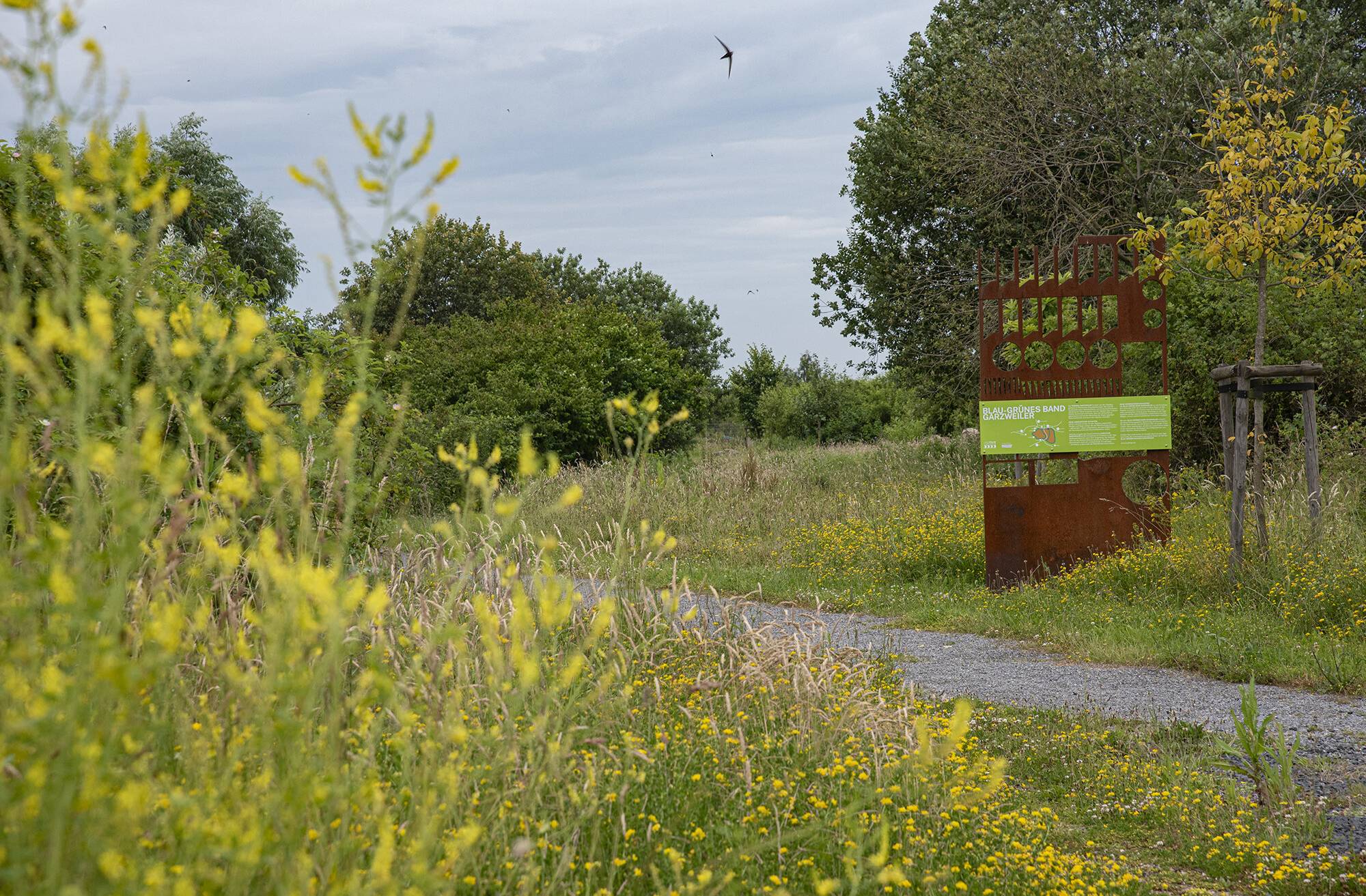Das Blau-Grüne-Band soll mit Bürgerbeteiligung geplant