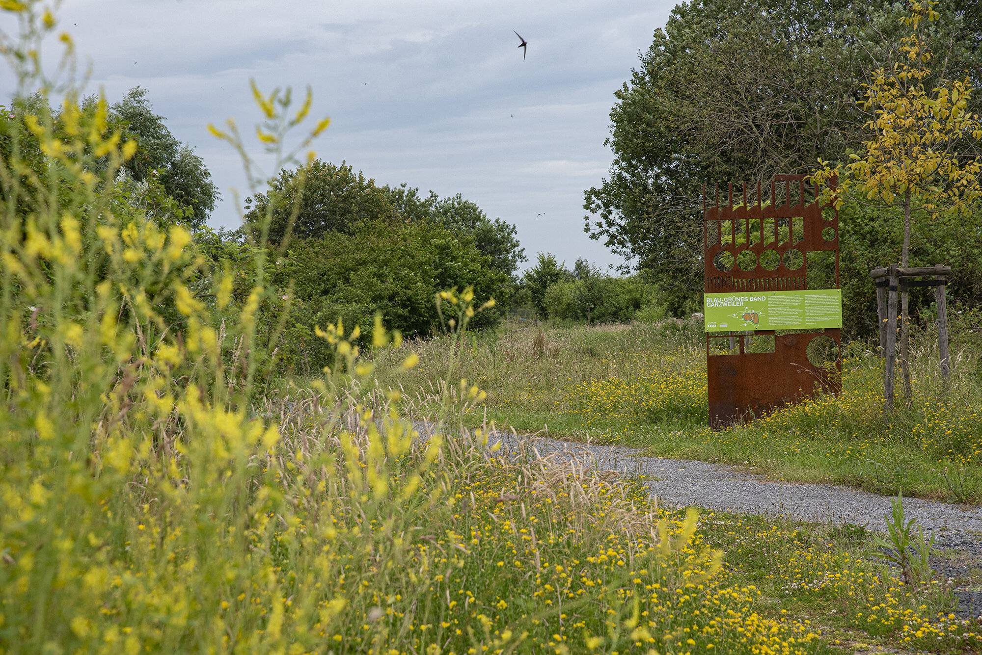 Das Blau-Grüne-Band soll mit Bürgerbeteiligung geplant werden.  