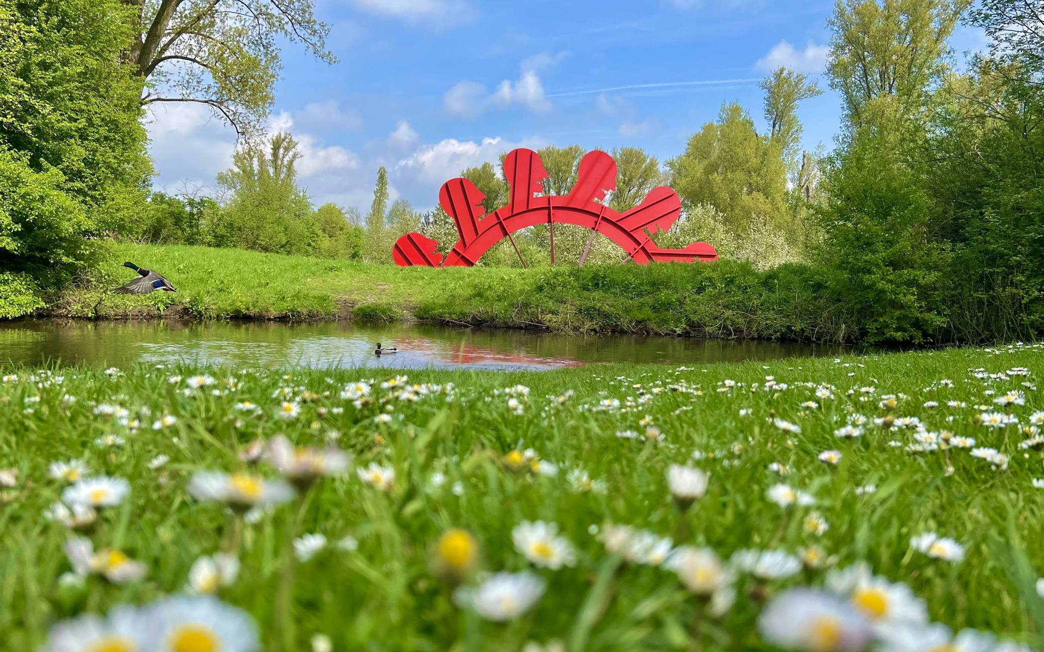 „Wintertraum“: Das Januar-Foto im aktuellen Kalender