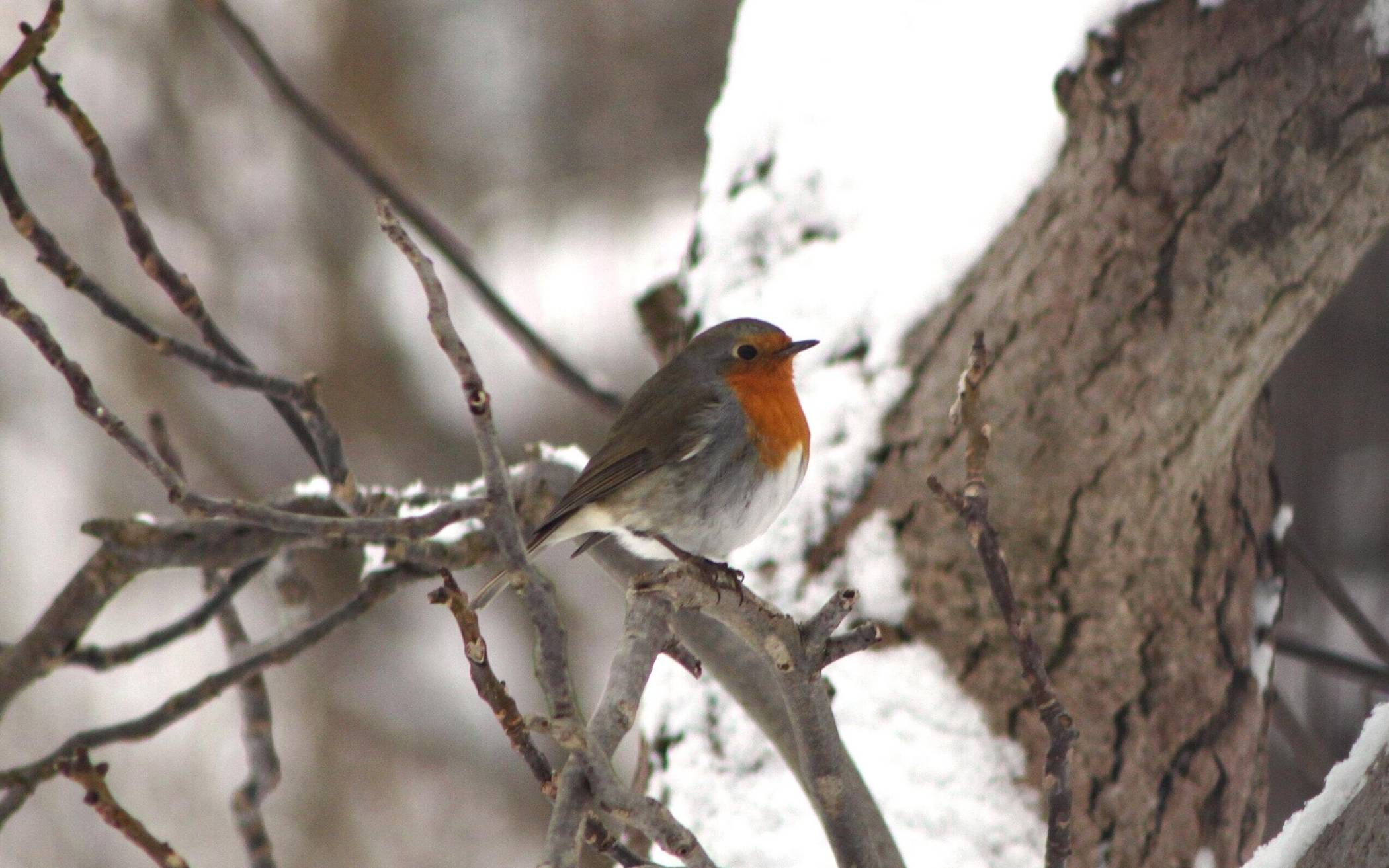 ⇥Symbolfoto: Pixabay