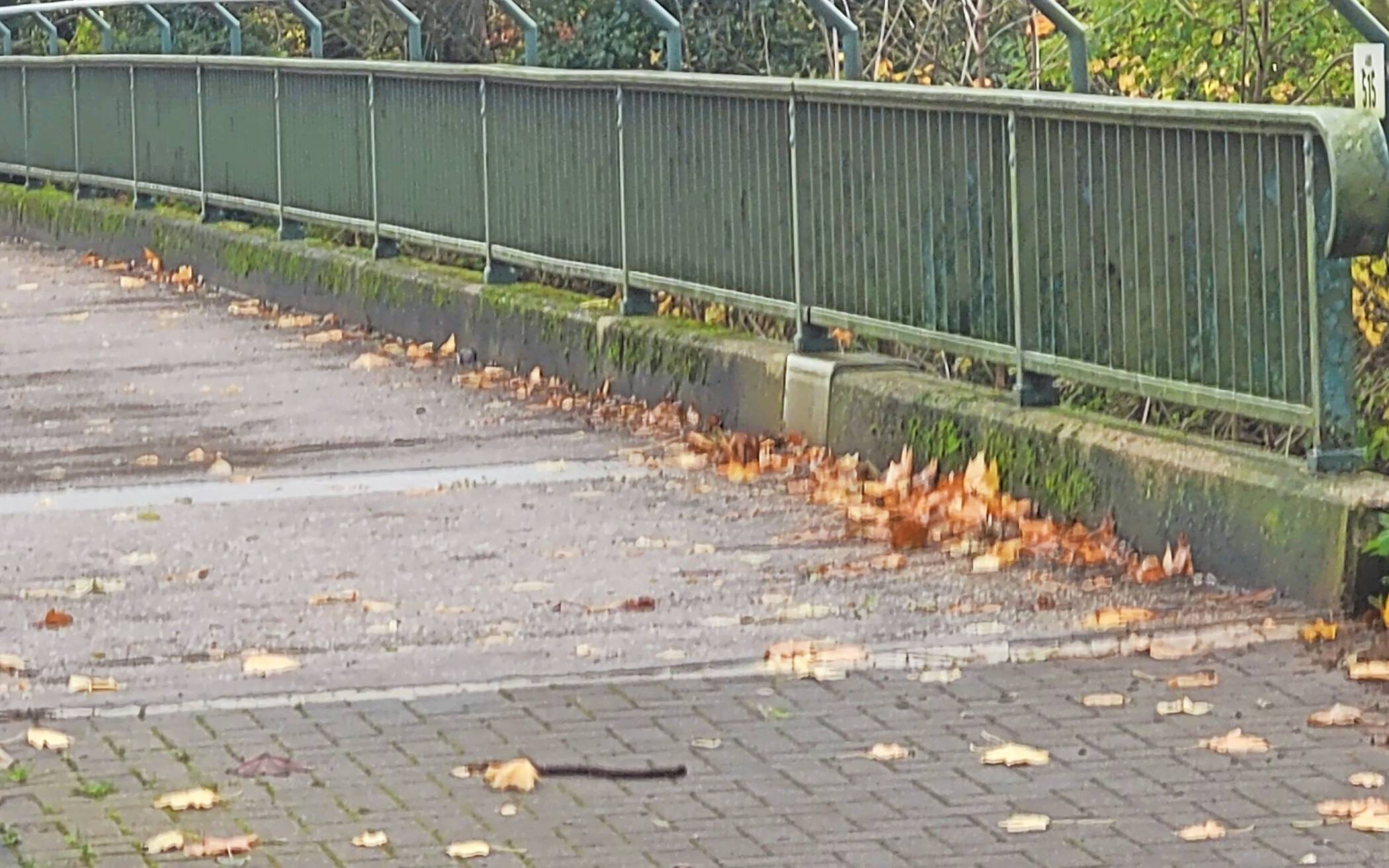 Die Erft-Brücken „aus den 50er Jahren“ wirken marode.