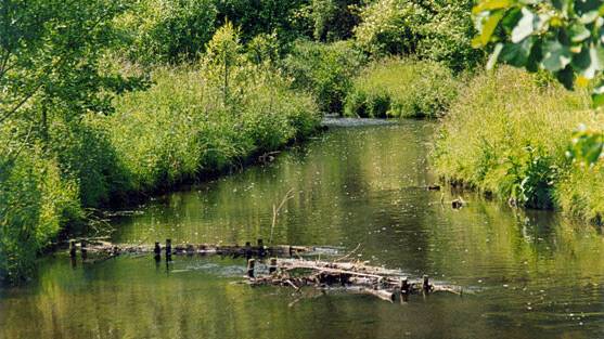 Es geht um die Zukunft des Gillbachs.