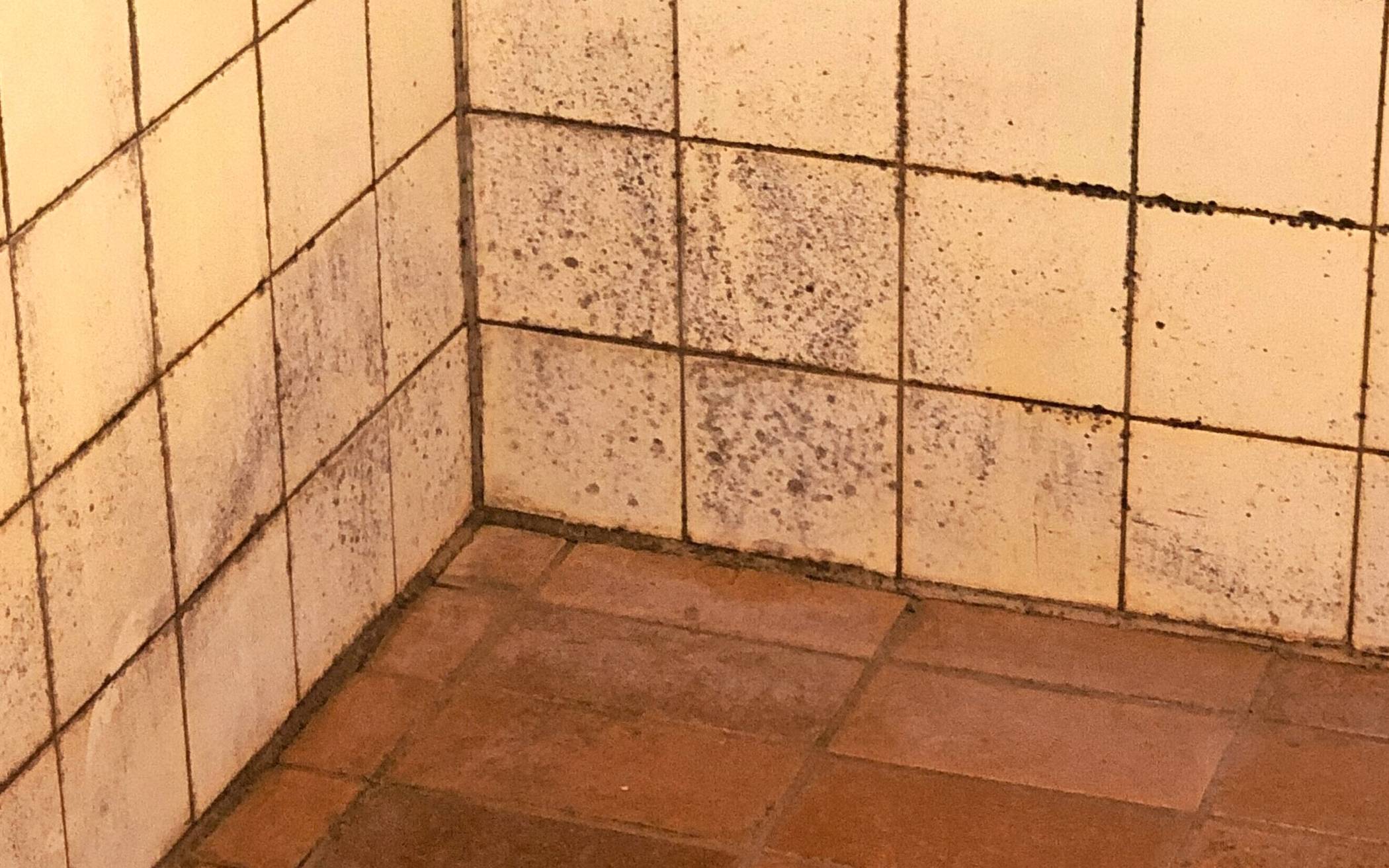 Der Verein rät davon ab, hier