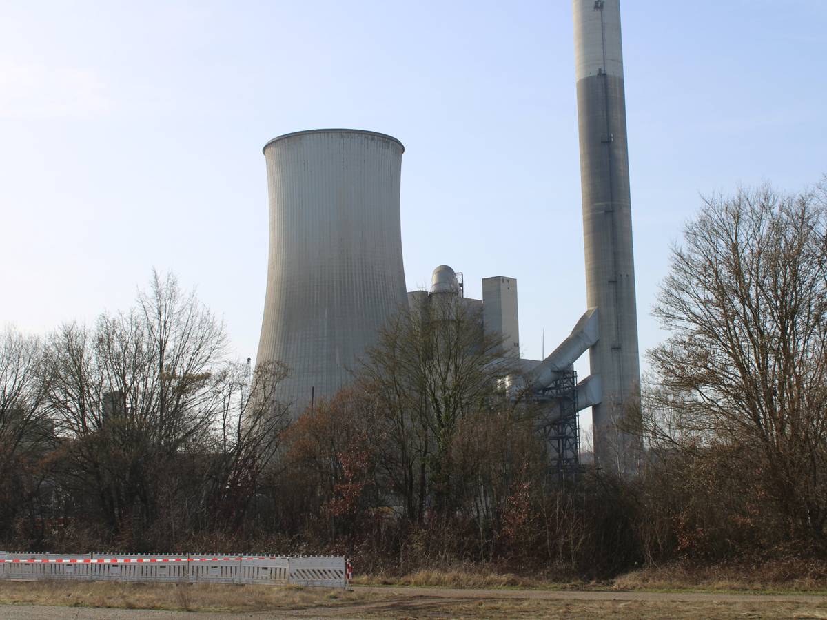 .. zu Staub wirst Du!
