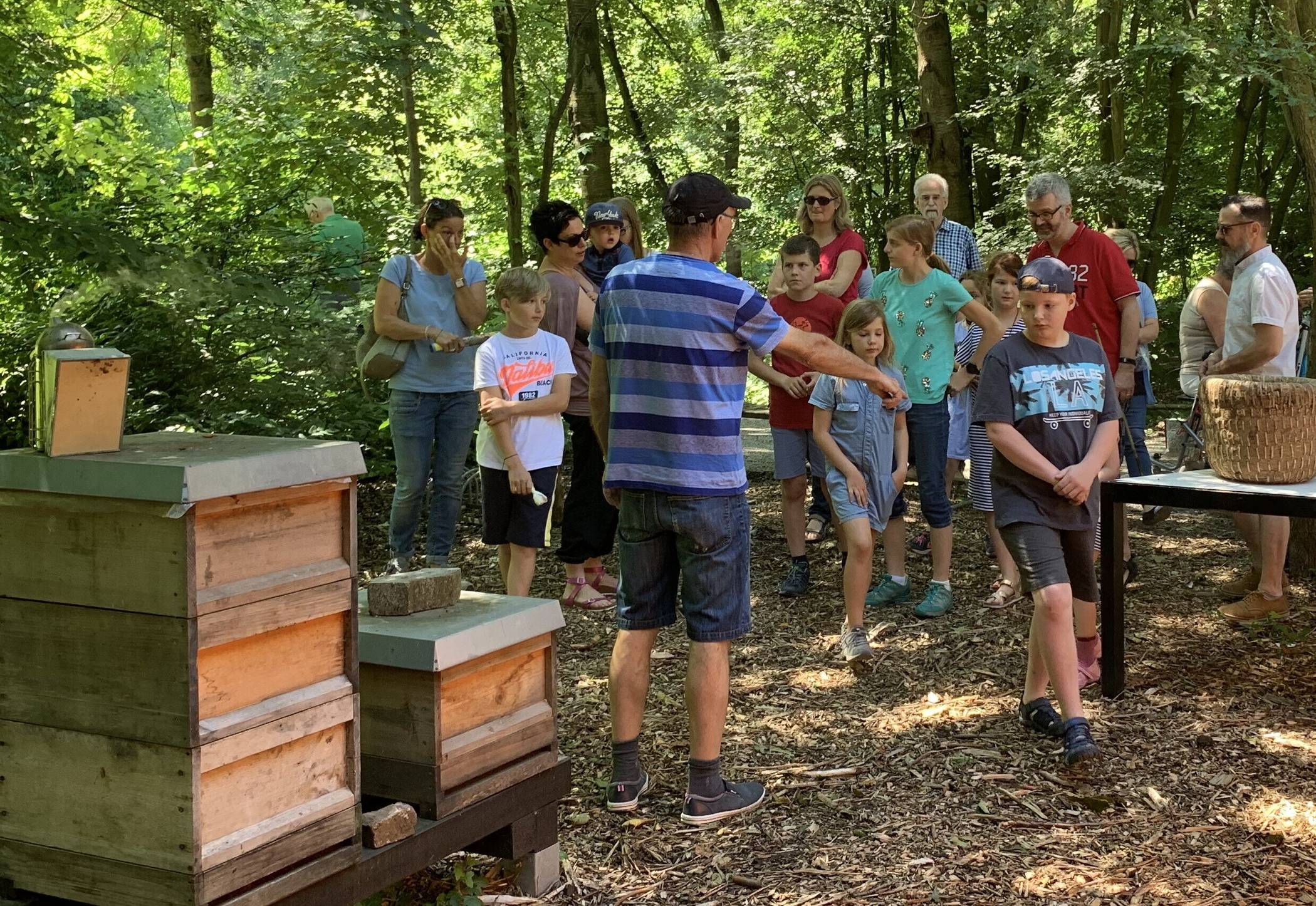 Sommerhonig von der Vollrather Höhe