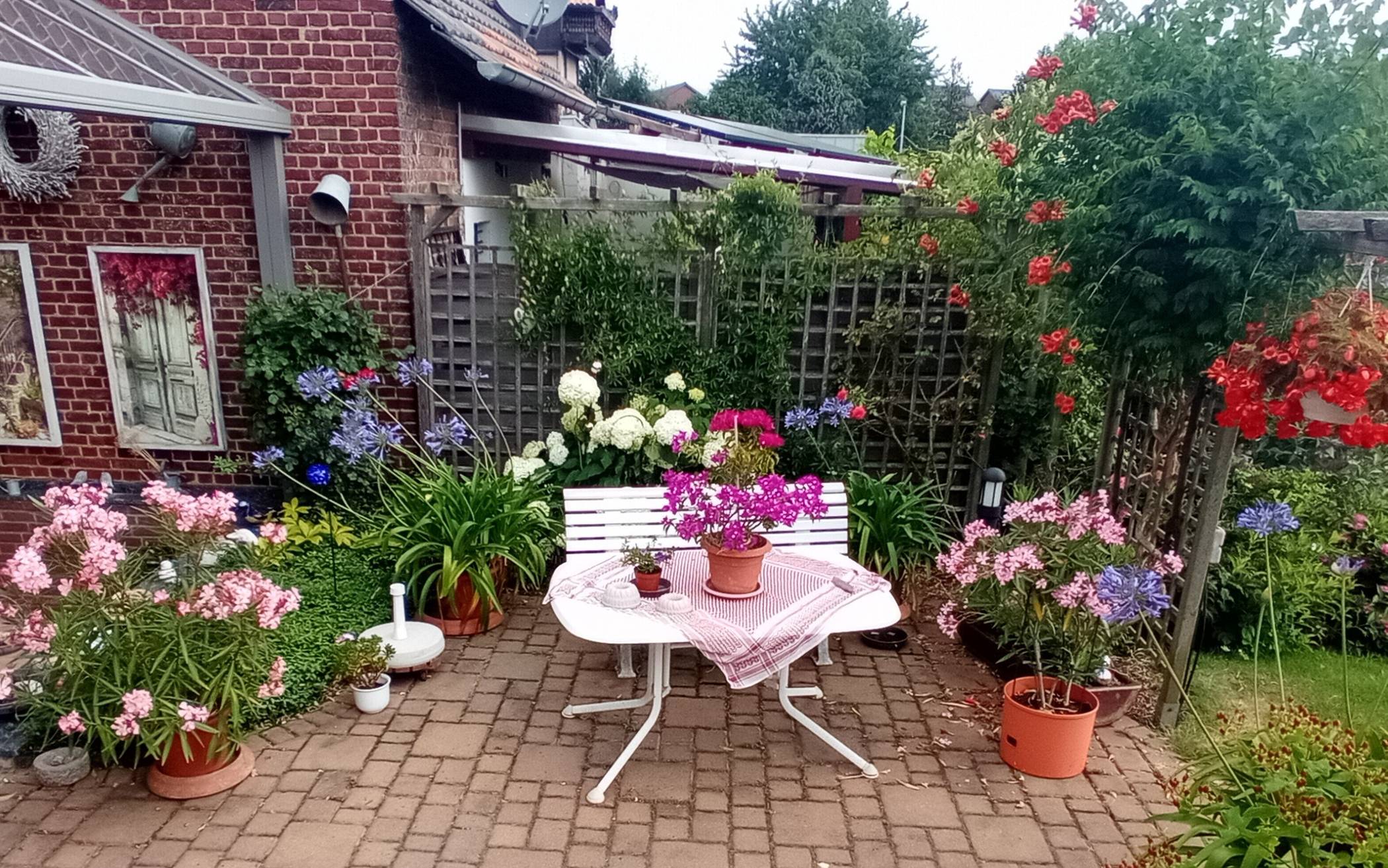 Auf ihrer Terrasse sitzen die Pfankuchens