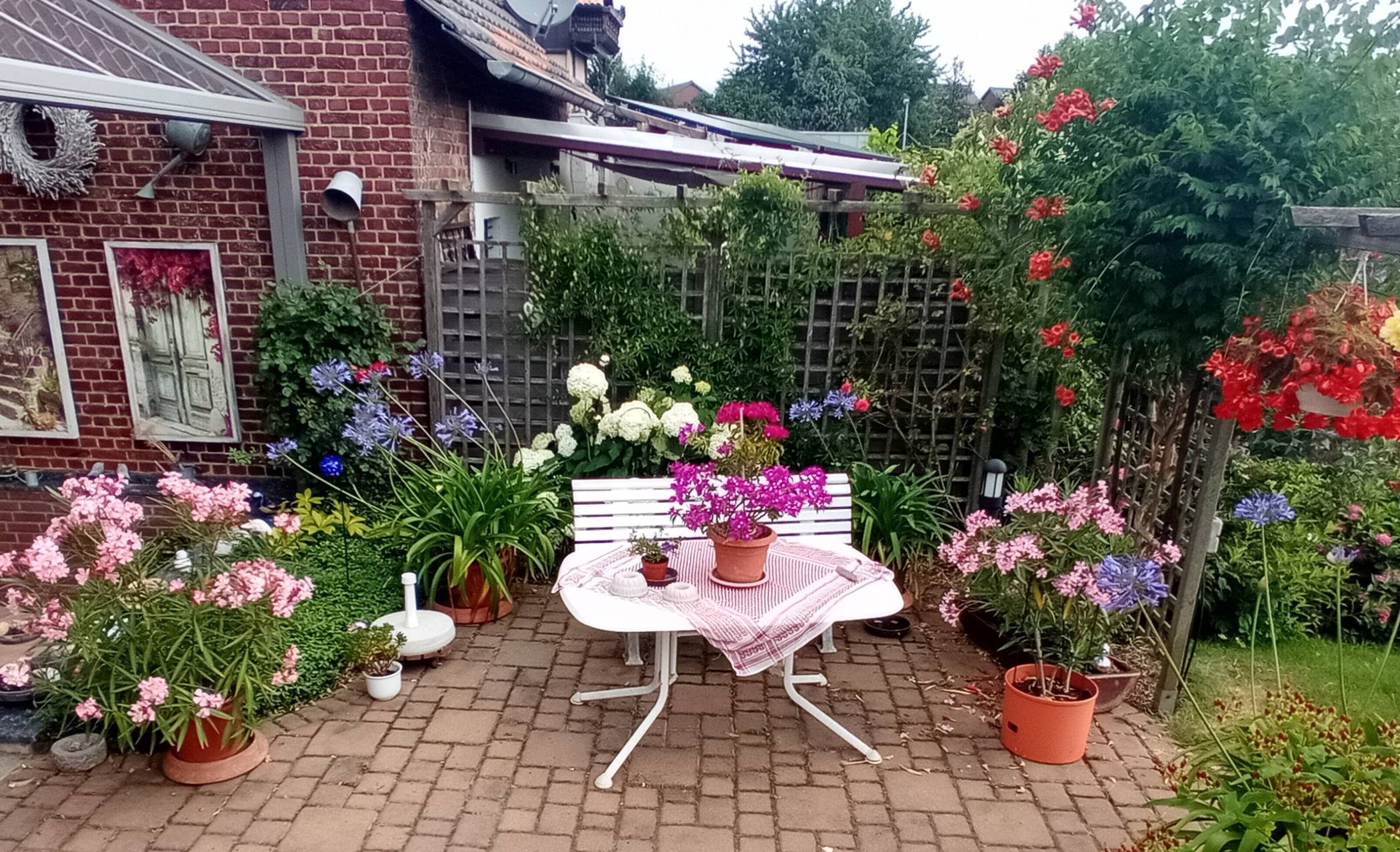 Auf ihrer Terrasse sitzen die Pfankuchens gern und genießen die Natur.