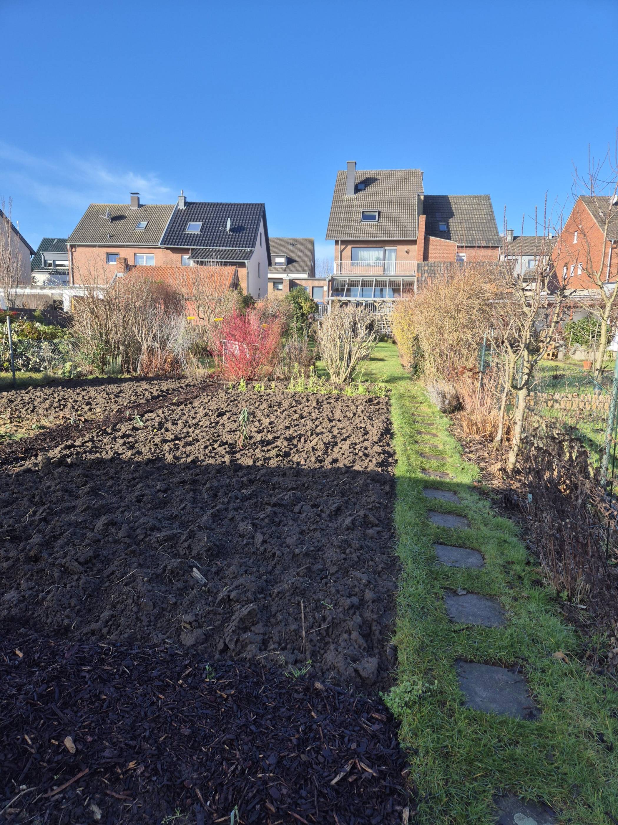  Im Februar sah er noch ganz anders aus. 