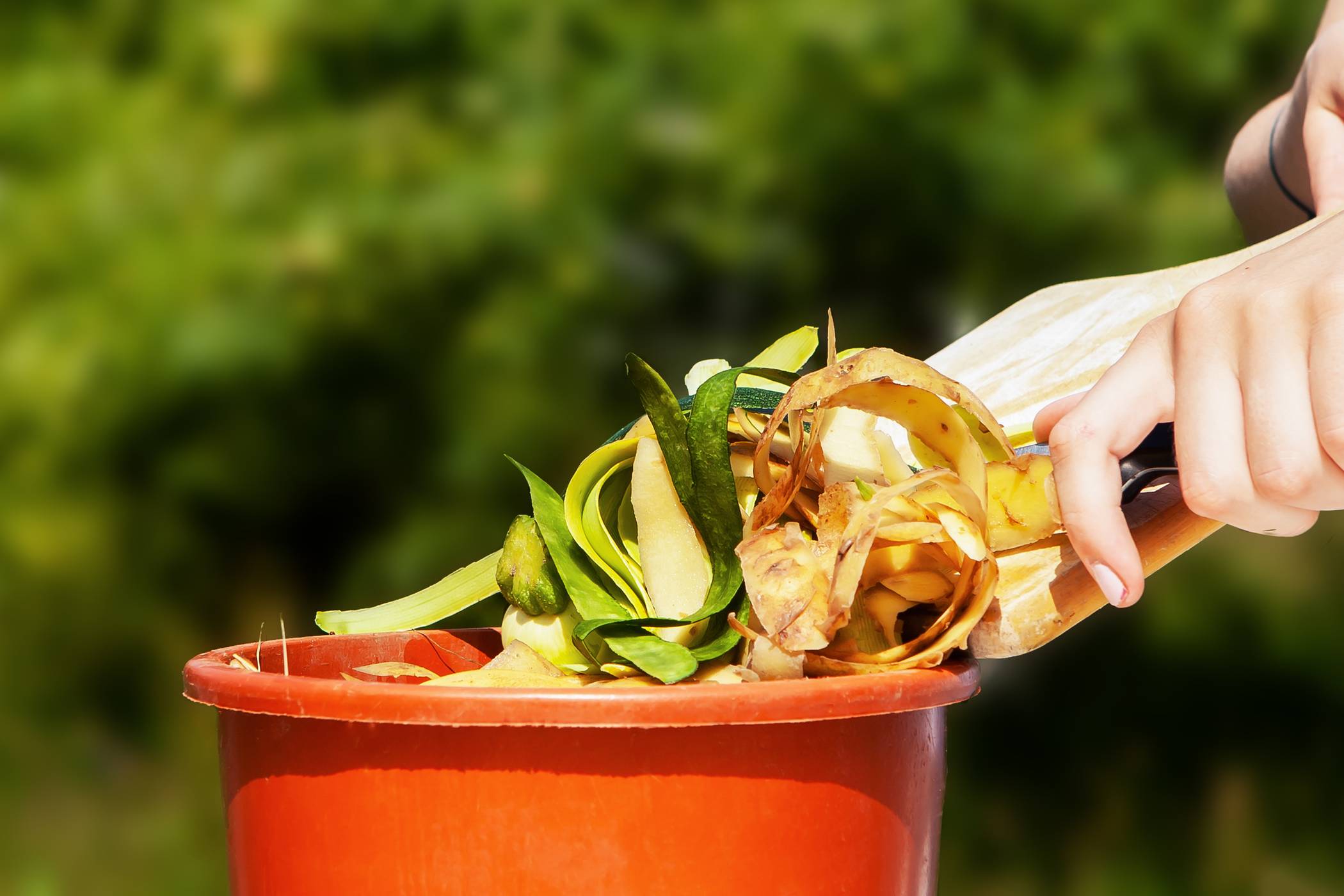 Bioabfälle sollten über die Biotonne entsorgt werden – darauf weist das Amt für Umweltschutz des Rhein-Kreises hin.