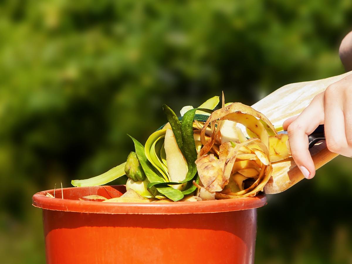 „Kompostierbare“ Kunststoffbeutel machen Probleme