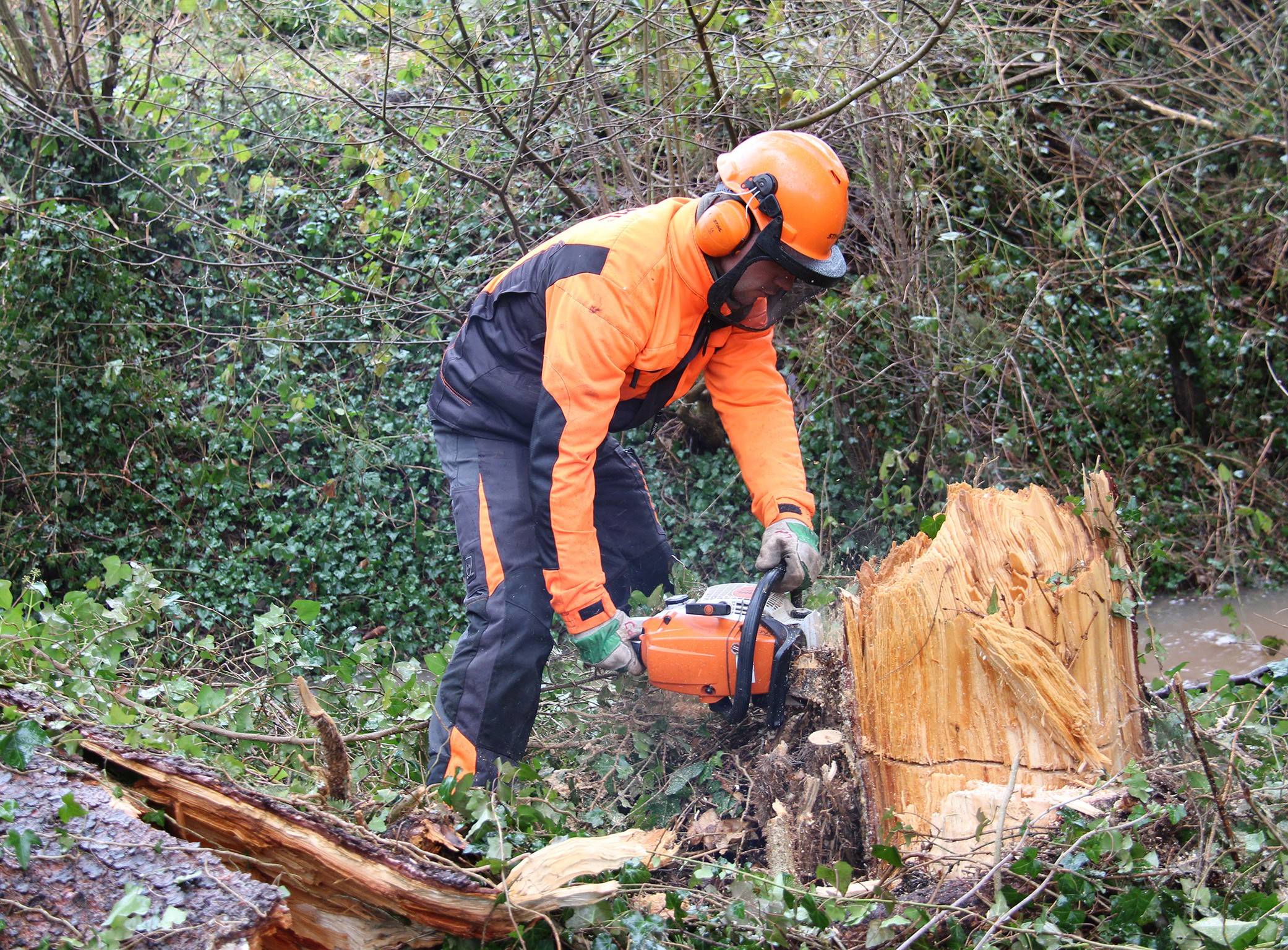  : Erftv-Verband sorgt für sichere Wege und intakte Lebensräume