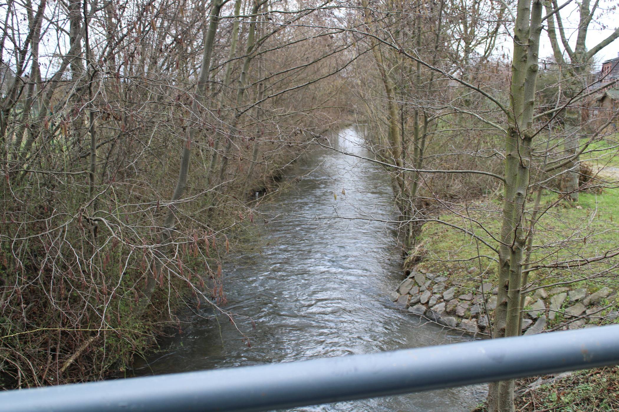 Einstimmiger Beschluss zum Gillbach: Klare Forderungen an das Land
