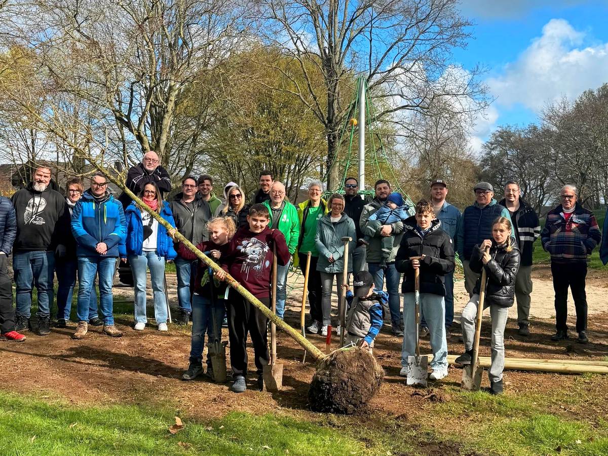 Felsenbirne, Tulpenbaum und Baumhasel für Abenteuerspielplatz