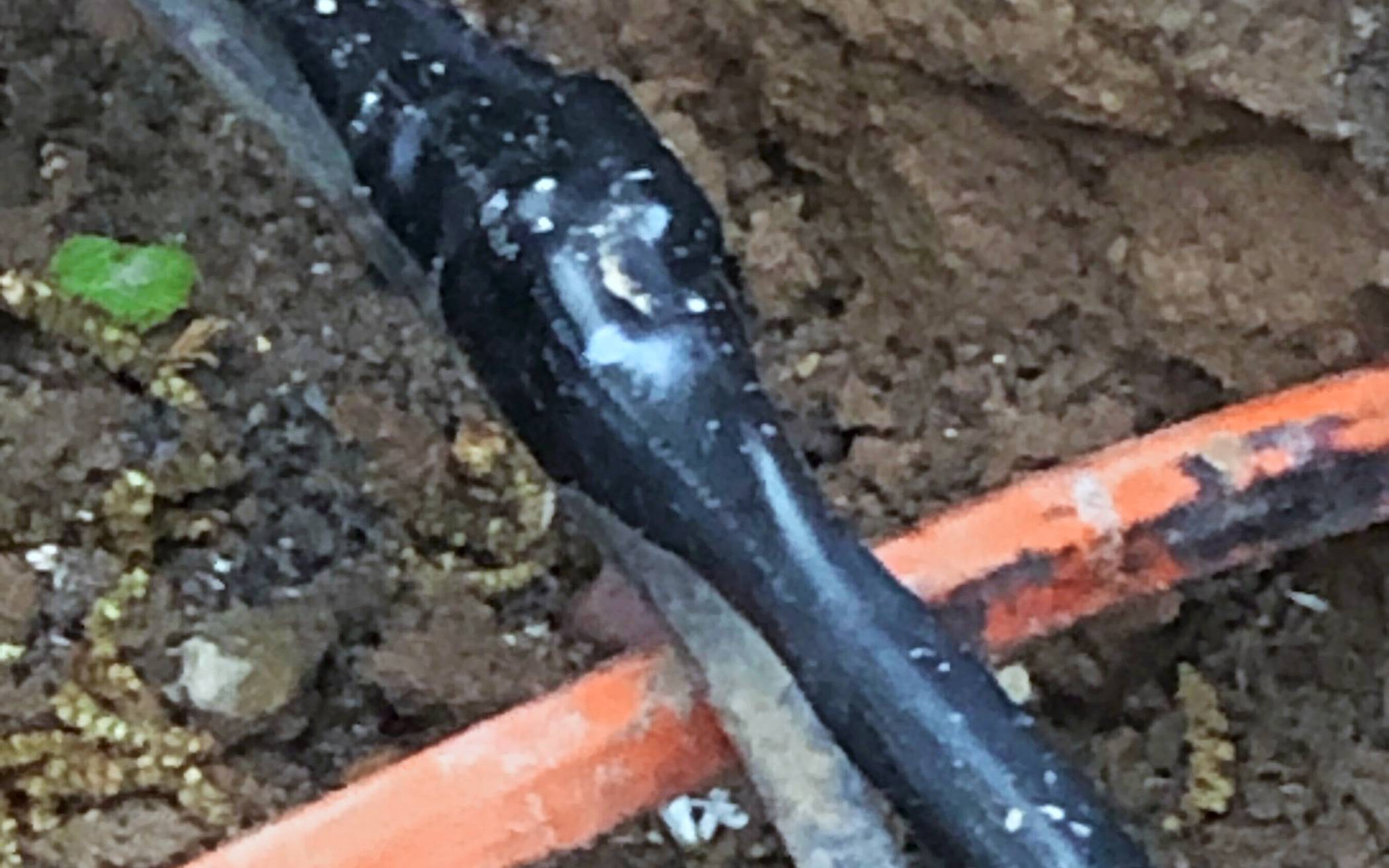 Repariert? Gesichert? Wer weiß das schon ...