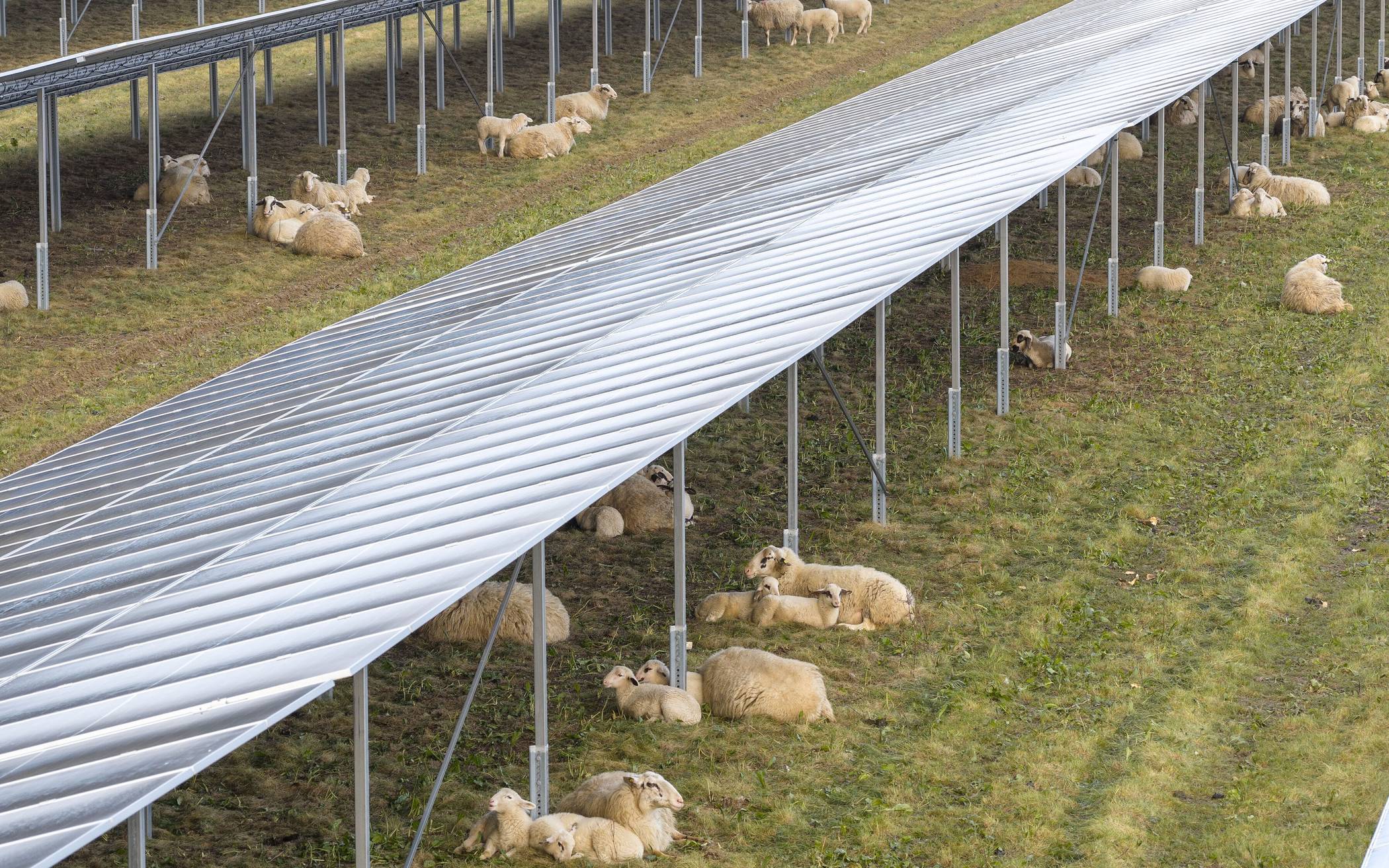 Mähhhhr Nachhaltigkeit