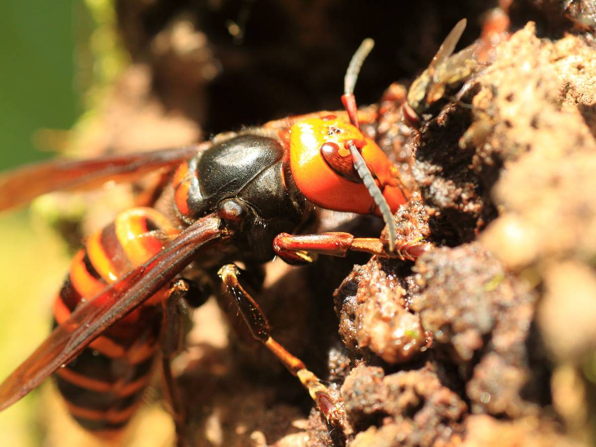 „Vollständige Tilgung“ ist kein Ziel mehr!