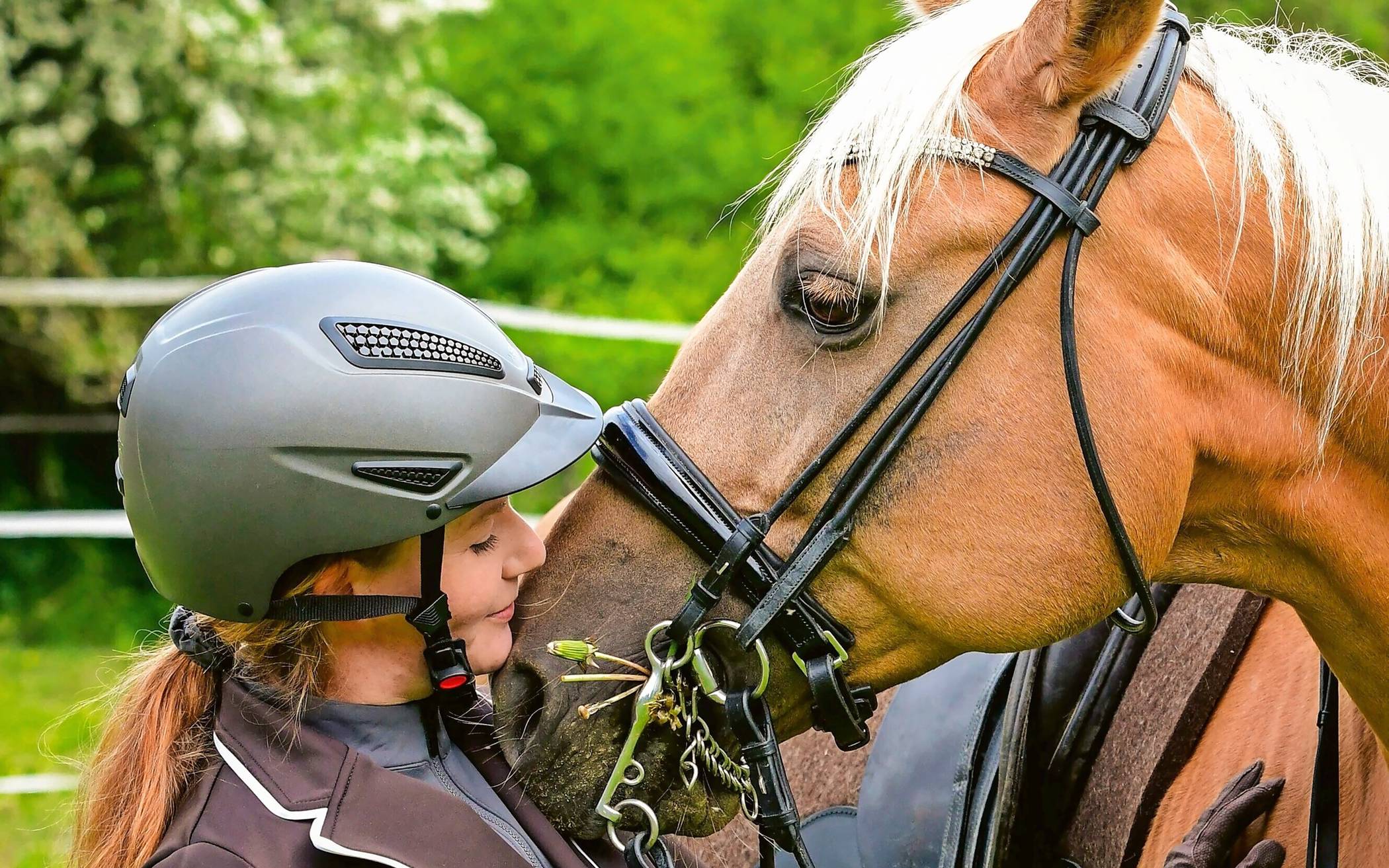 Melanie Volkland, das Pferd und die Ausbildung stehen im Mittelpunkt eines Referats im Kulturzentrum Sinsteden.