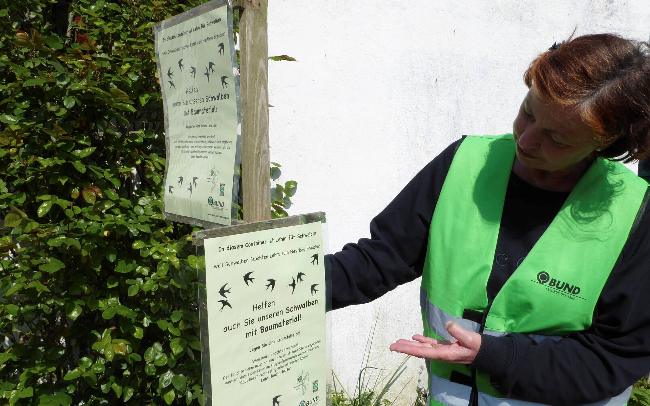 Das neue Schwalben-Plakat für den Lehm-Container