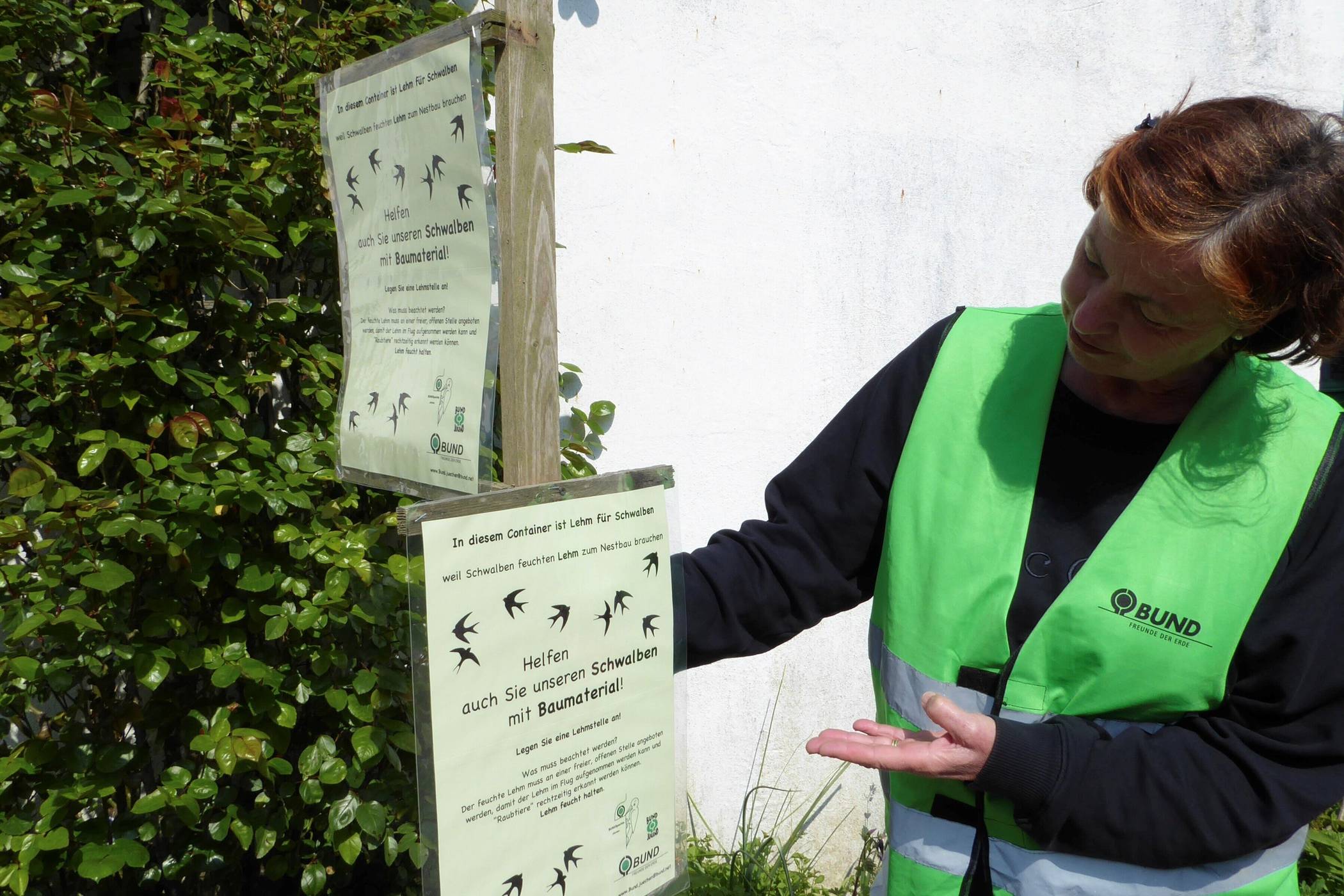Das neue Schwalben-Plakat für den Lehm-Container in Gierath ist fertig.  