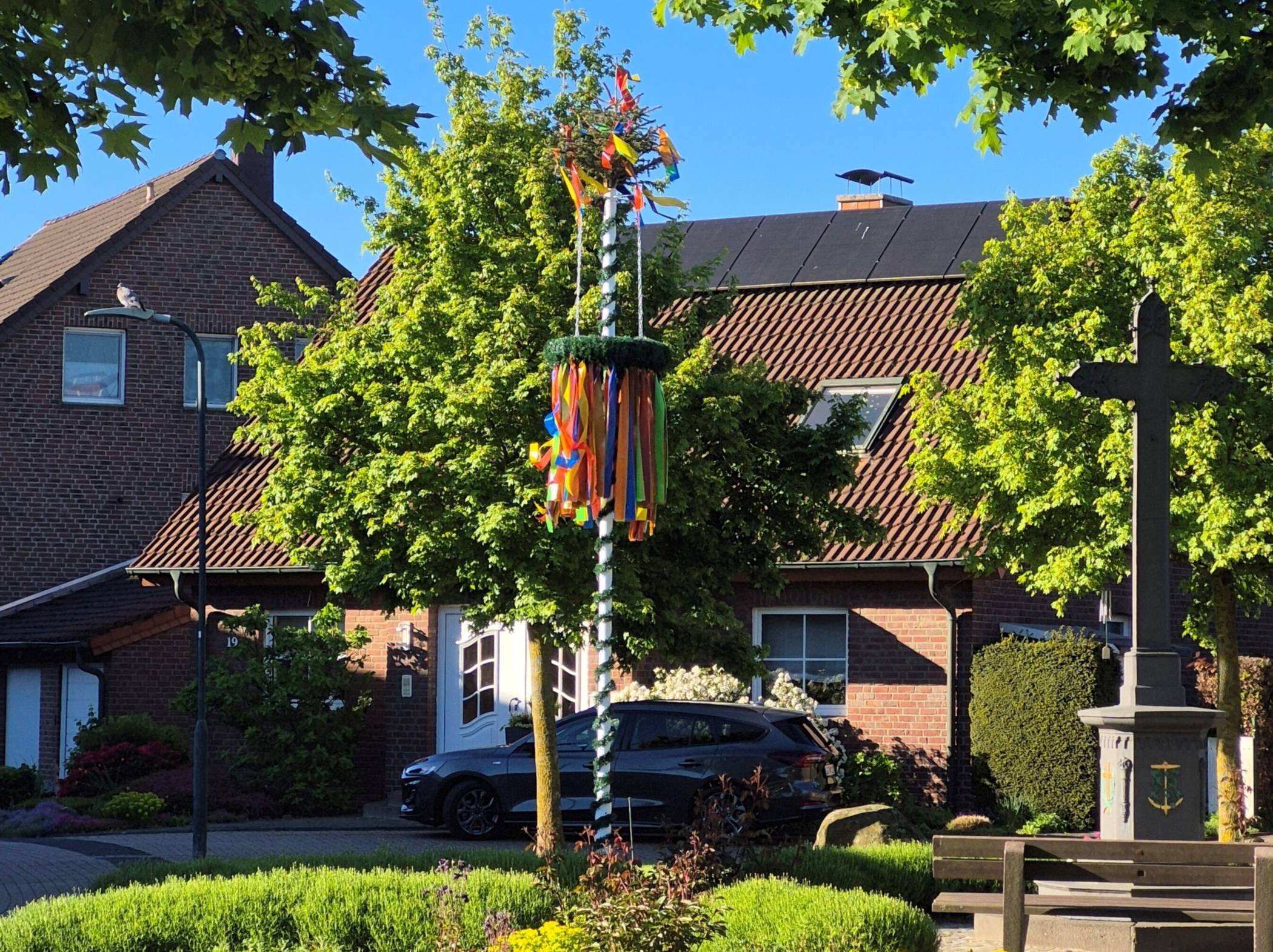 Der erste Maibaum am Priesterather Dorfanger.   