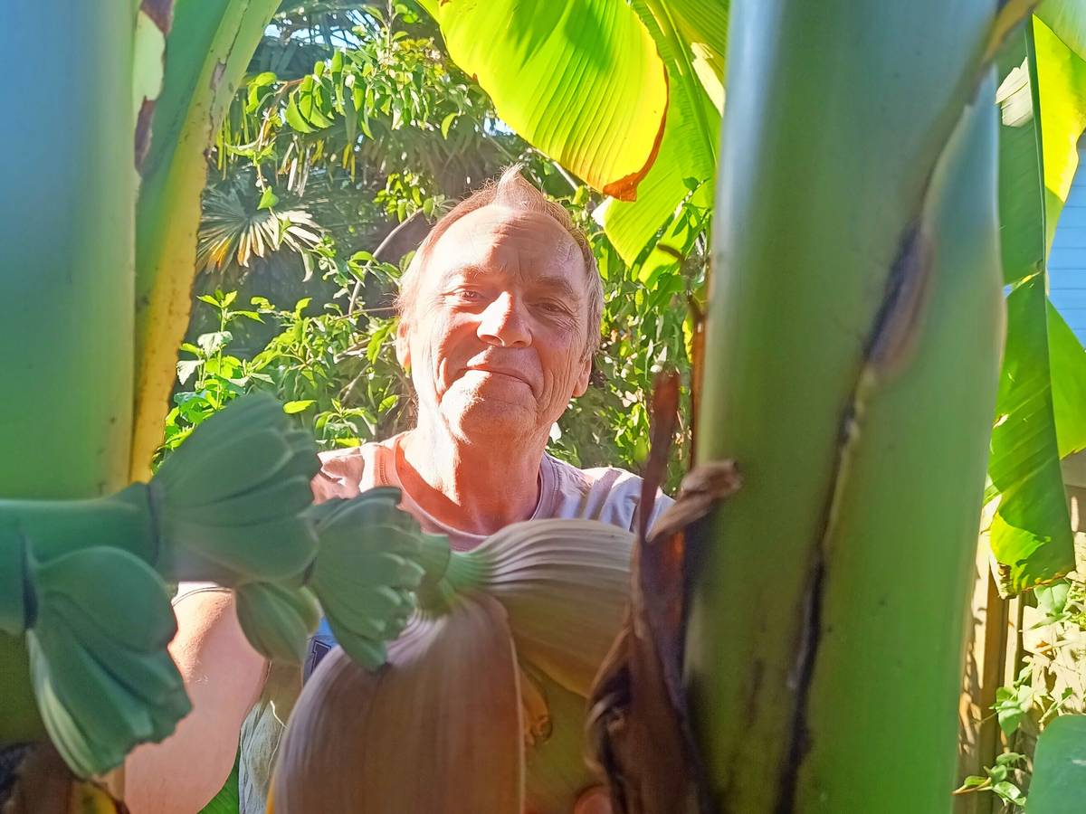 Mitten in Kapellen wächst ein kleines Stück Karibik