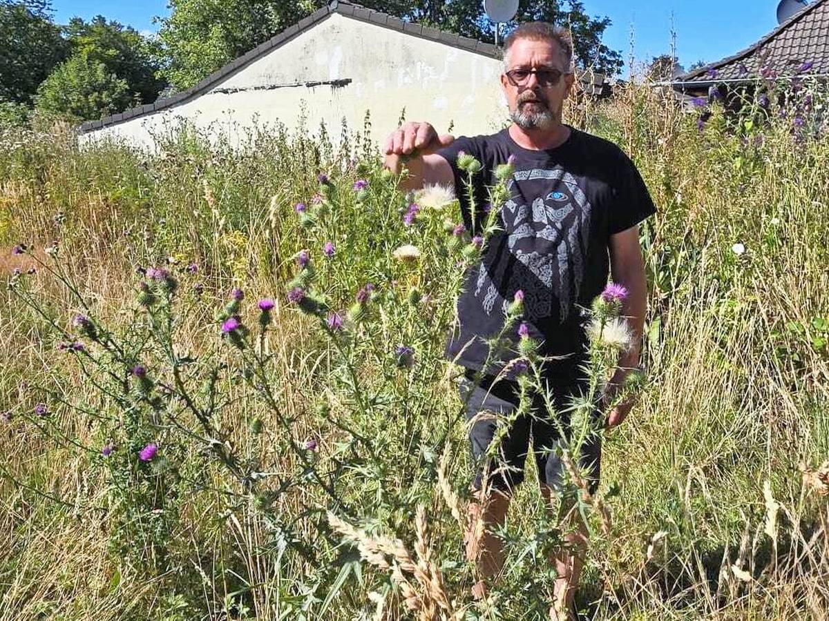 Klimabäume: Mit den Neupflanzungen kommt dann auch die Grünpflege