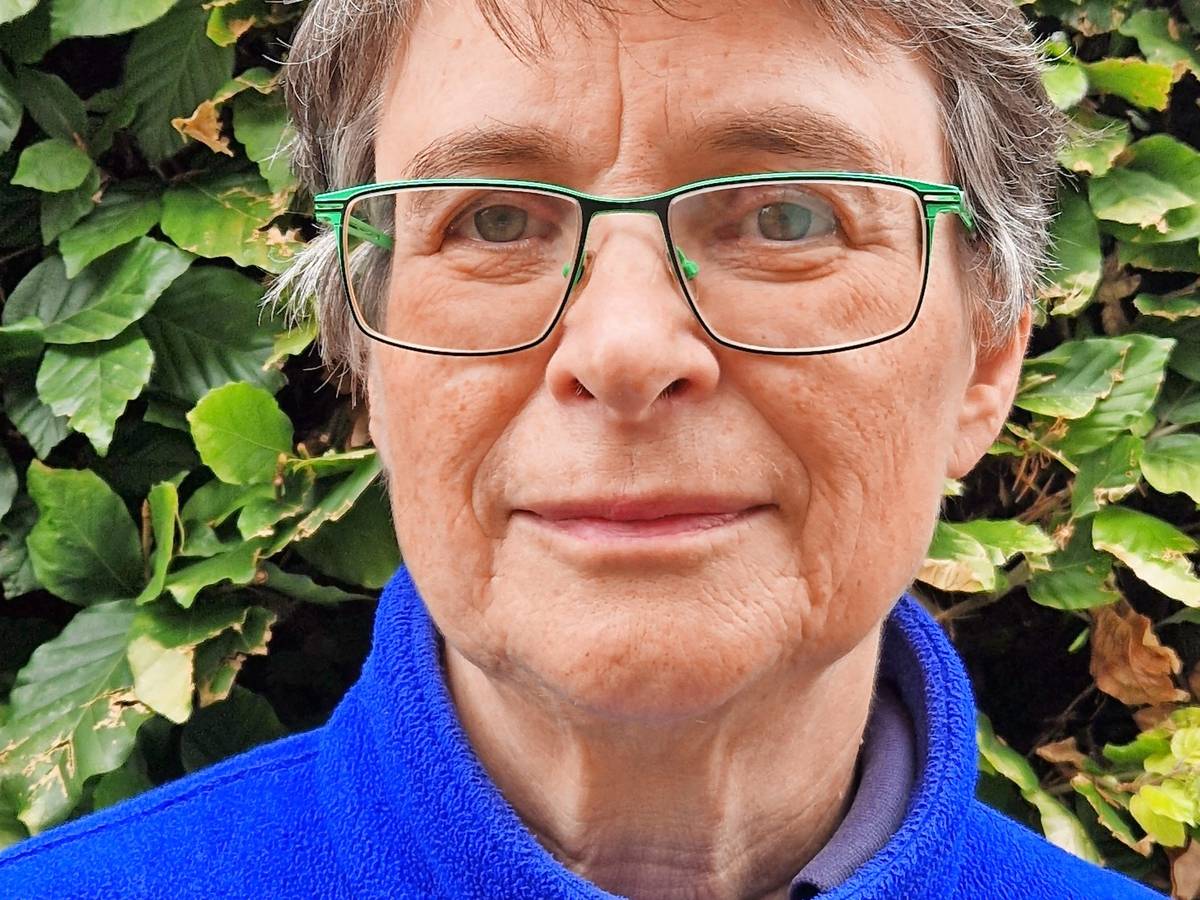 Hitzeschutz? Eine Inspiration aus anderen Ländern