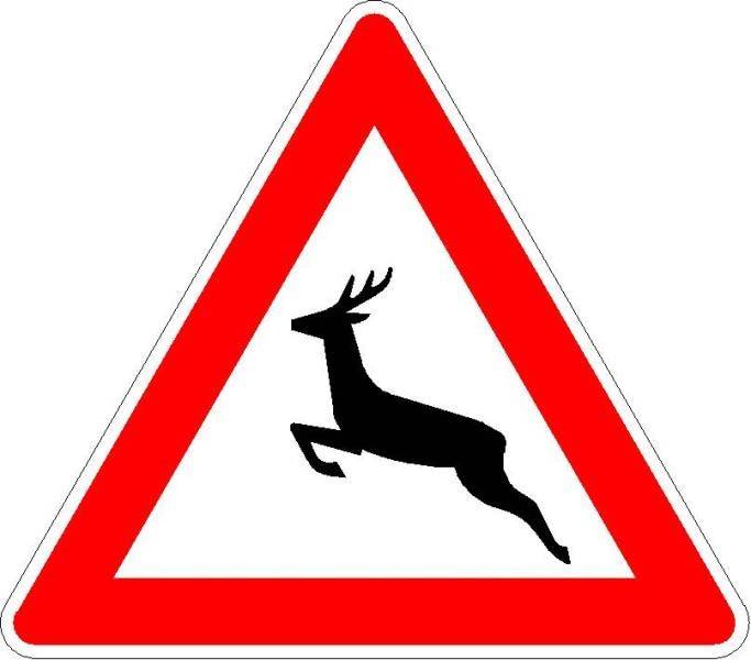 Vorsicht bei Wildwechsel: Auto kommt von der Fahrbahn ab