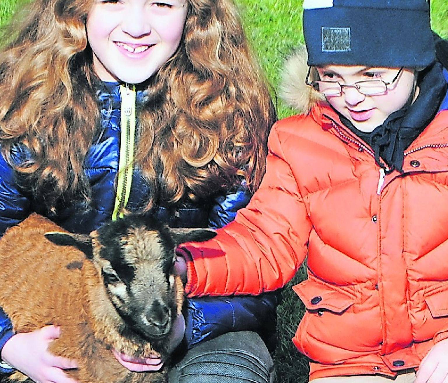  Anna und Luca retteten diesem kleinen Schafslamm das Leben als es drohte zu Ersticken. 