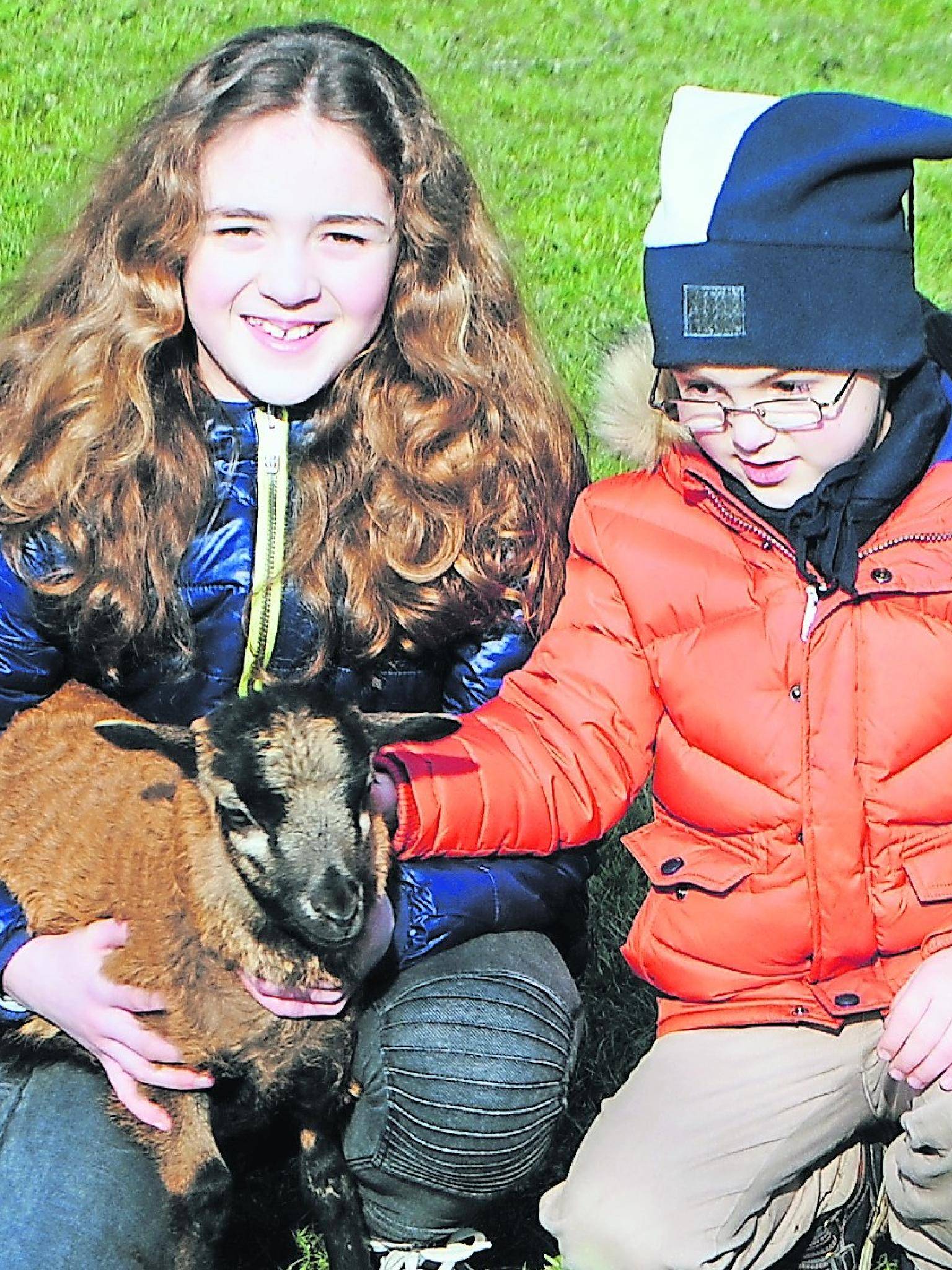  Anna und Luca retteten diesem kleinen Schafslamm das Leben als es drohte zu Ersticken. 