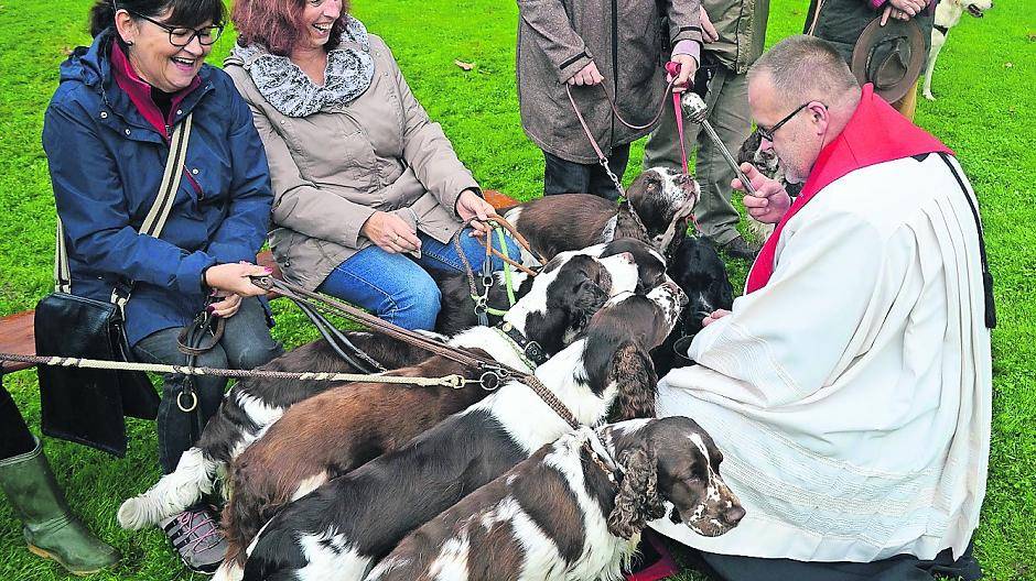 Aktion zum „Welt-Tierschutztag“: Wenn die Hunde ins Kloster gehen!