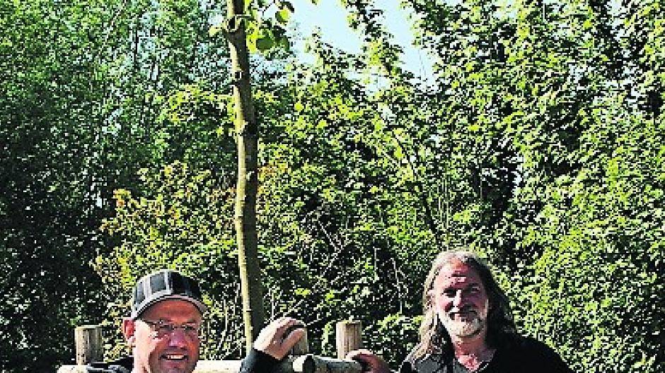  Auf der Wildobstwiese des neu angelegten Naturlehrpfades wachsen Wildbirnen, Maronen und Wildäpfel. 