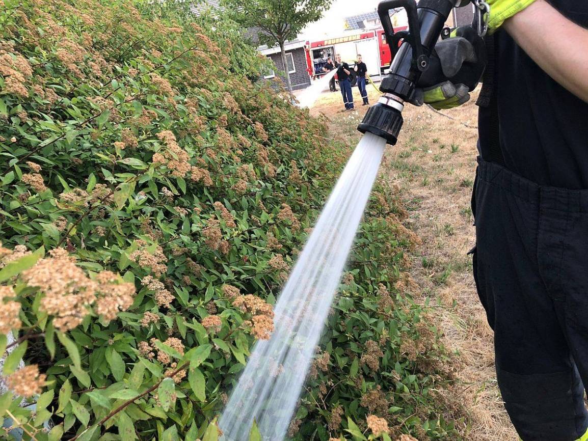  Wasser marsch: Die Feuerwehr hilft bei der Bewässerung der Pflanzen. 