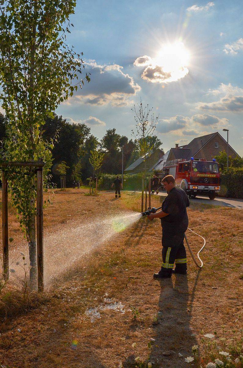  Kritisch: Durch die Trockenheit sind gerade Jungbäume in einem schlechten Zustand. Das Grünflächenamt hat die Feuerwehr um Hilfe gebeten. 