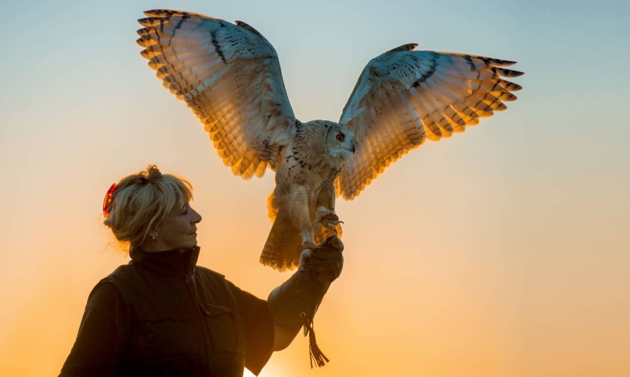 „Vögel sind immer die Chefs“