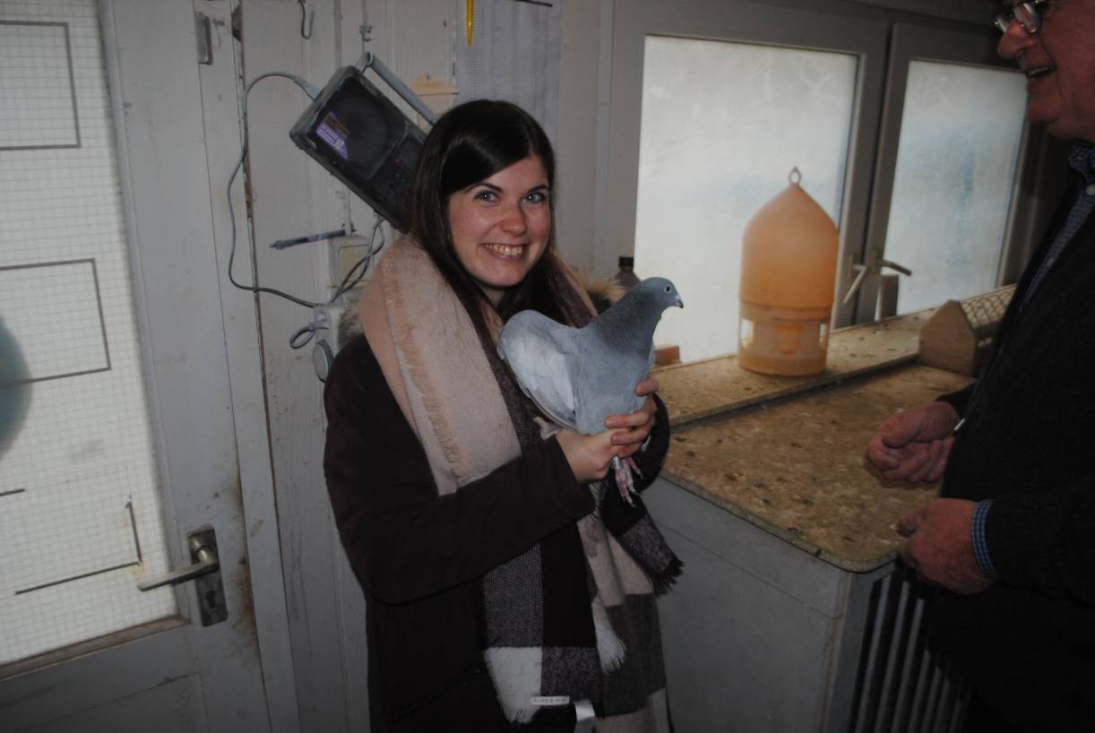  Auch Reporterin Alina Gries hat sich an die Tauben heran getraut. 