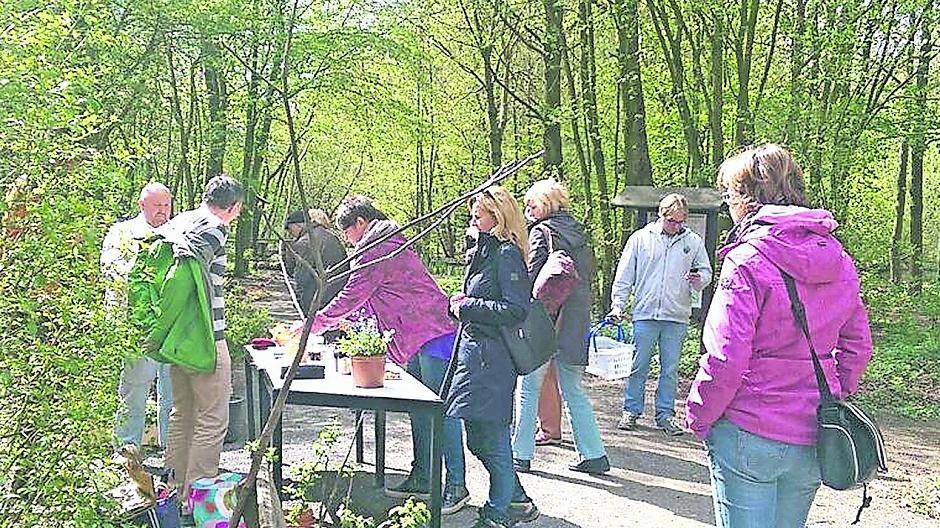 Den Frühling heran locken ...