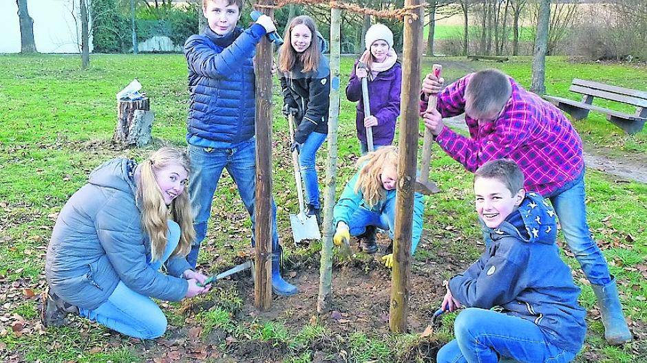  Die BUNDSpechte bei der Pflanzung einer neuern Ulme in der Gemeinde. 