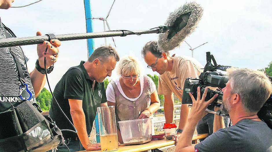 Kröten-Refugium neben der Rennstrecke wird kartiert!