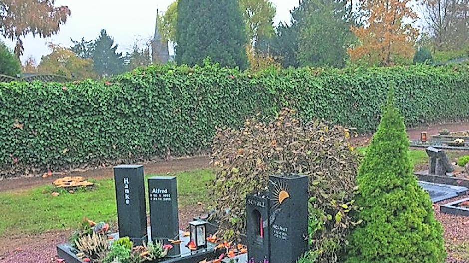  Bäume und Hecke sind weg. Nur noch die Stümpfe schreien wie Wunden den Verlust gen Himmel. 