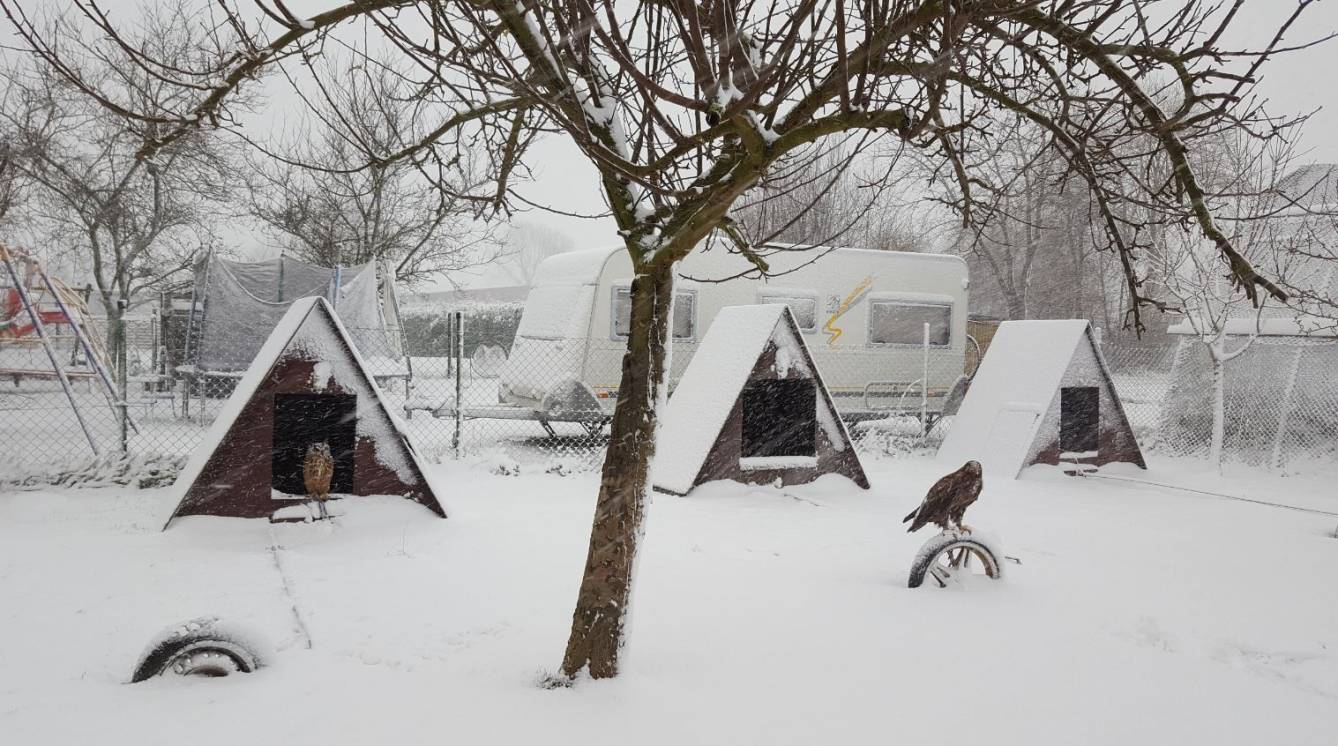 Und auch unsere Reporterin Alina Gries hielt ein paar "Schneezauber-Impressionen" fest....