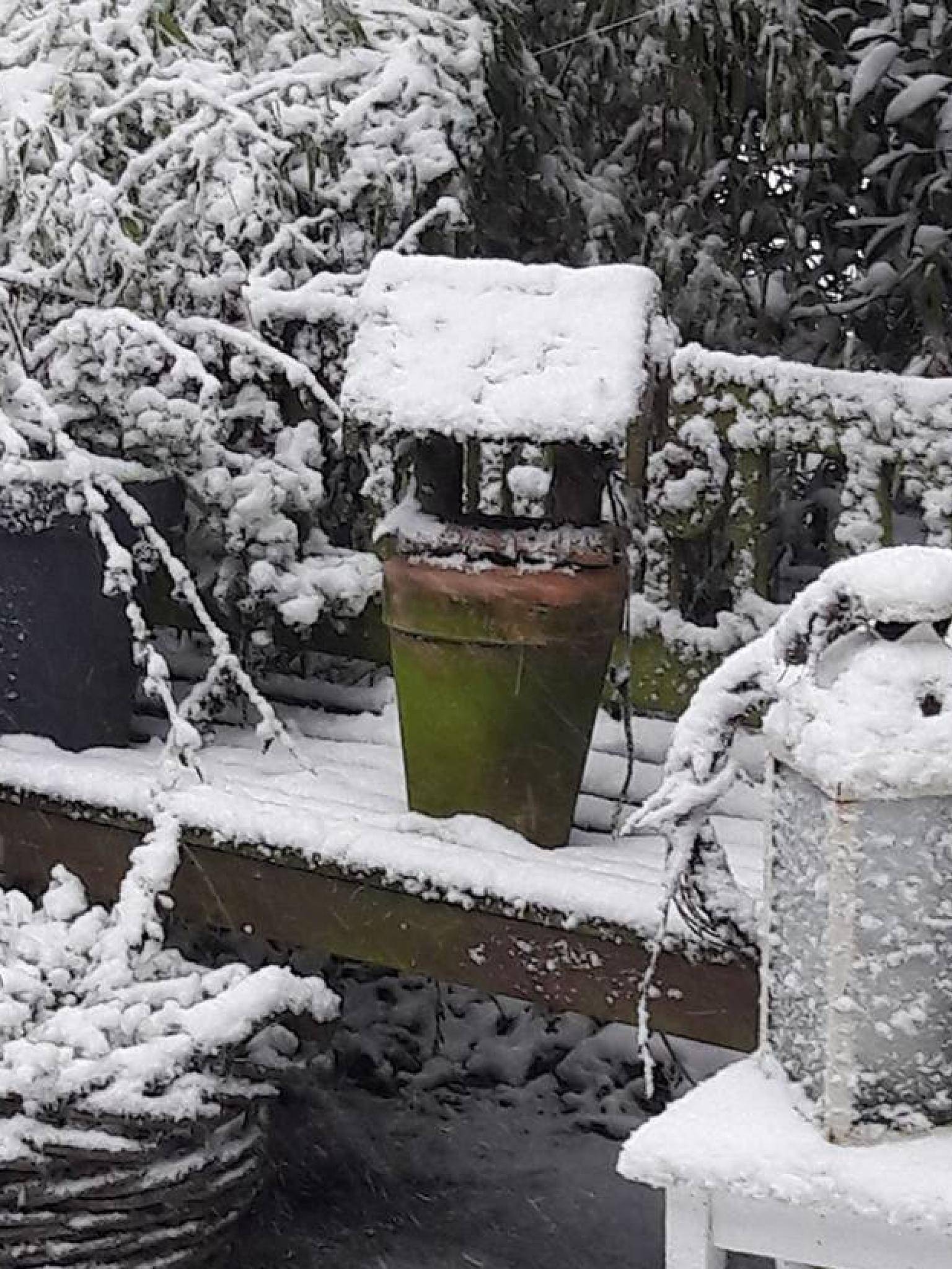Ganz in weiß: Der Garten von Astrid...